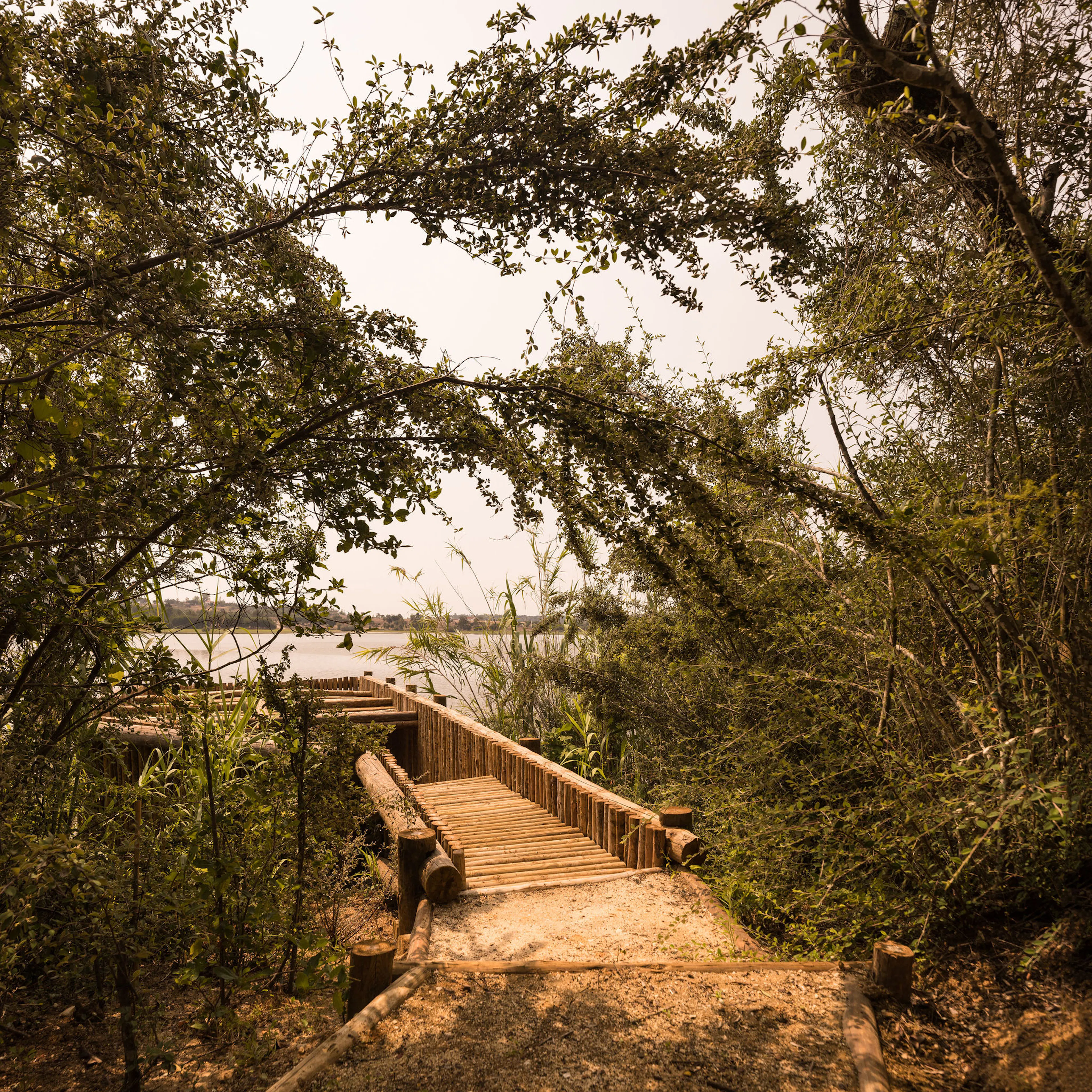 Diffuse Mirror — 2