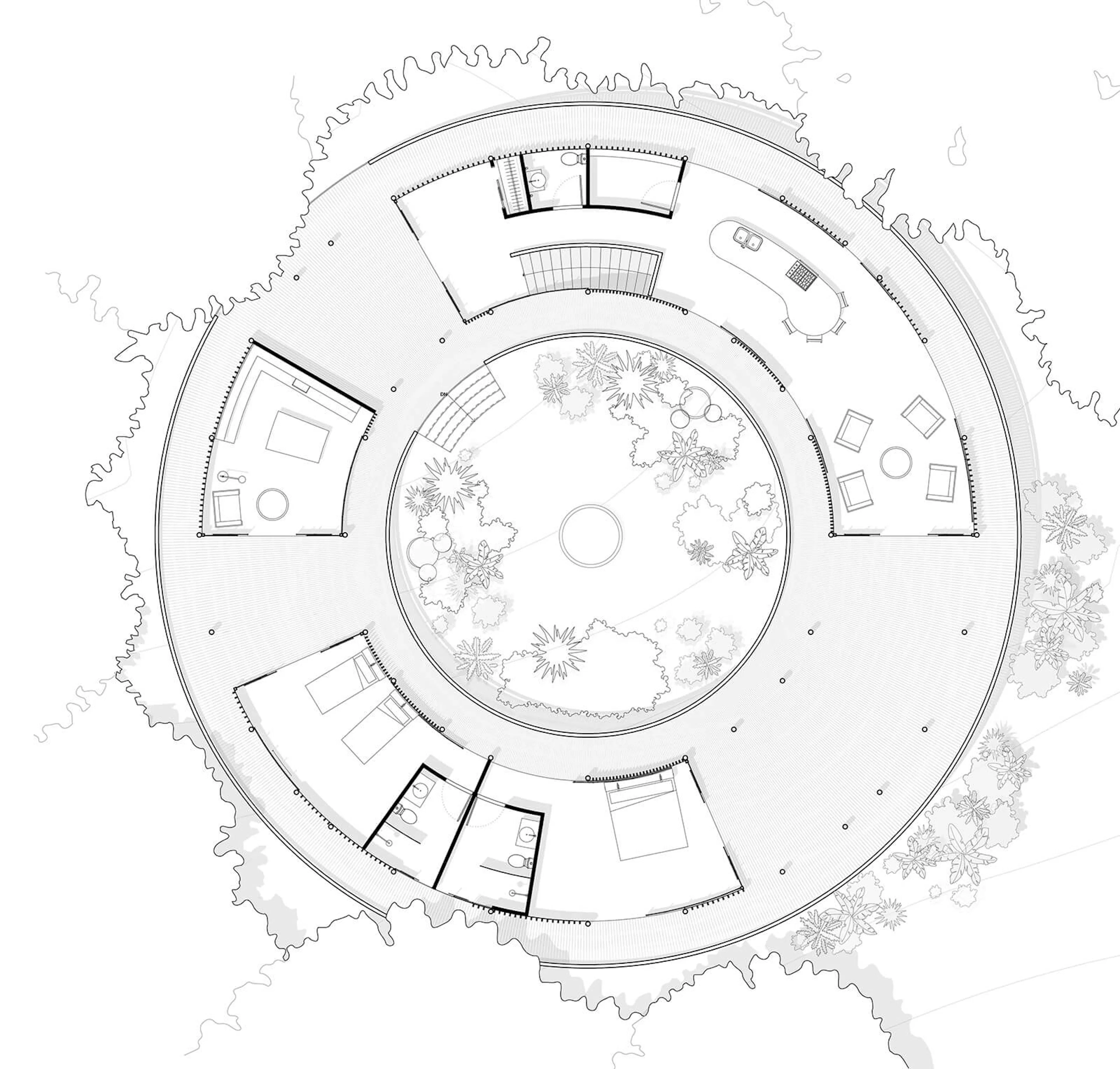 Sinfonía Verde — 19