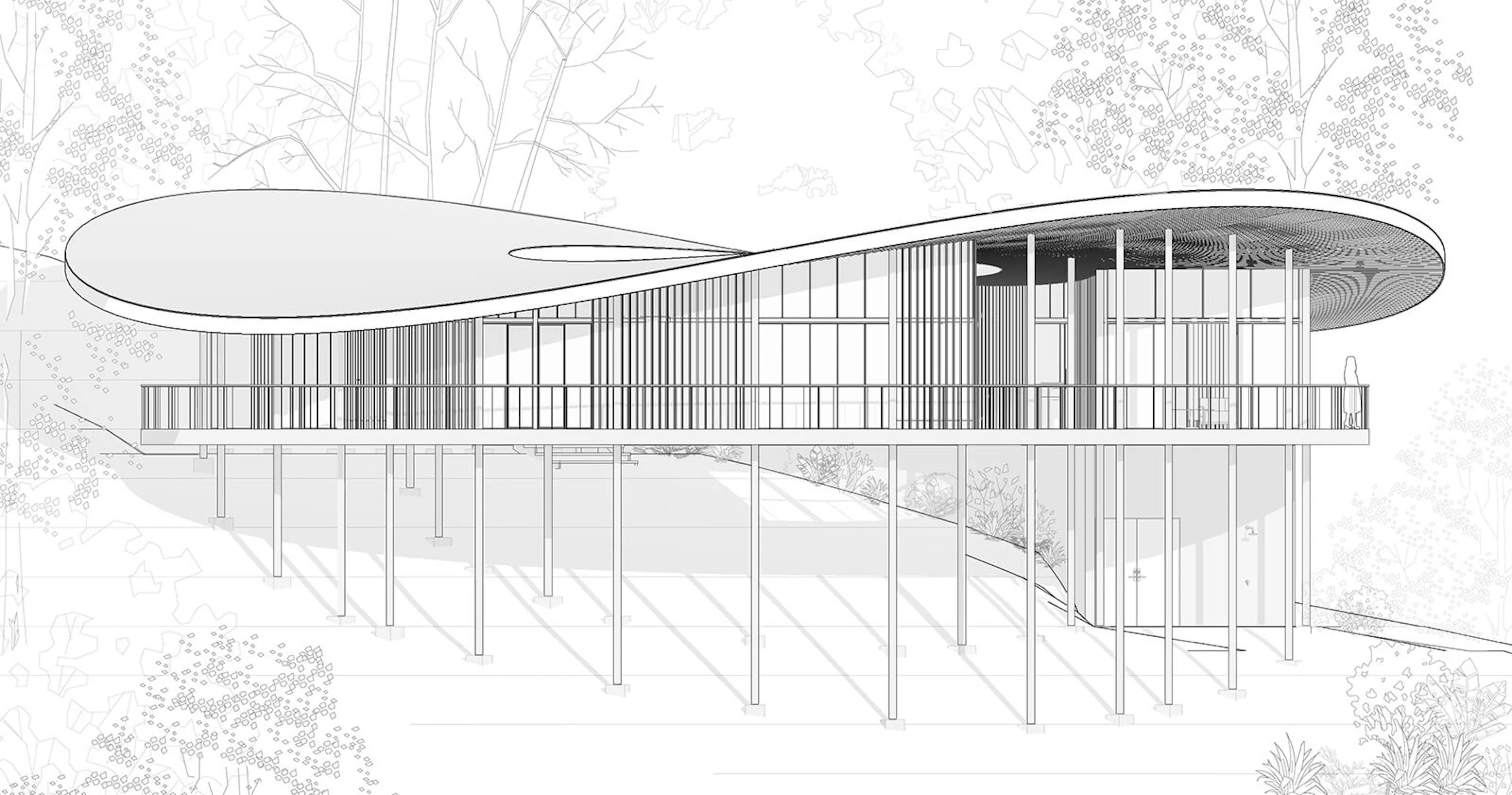 Sinfonía Verde — 20