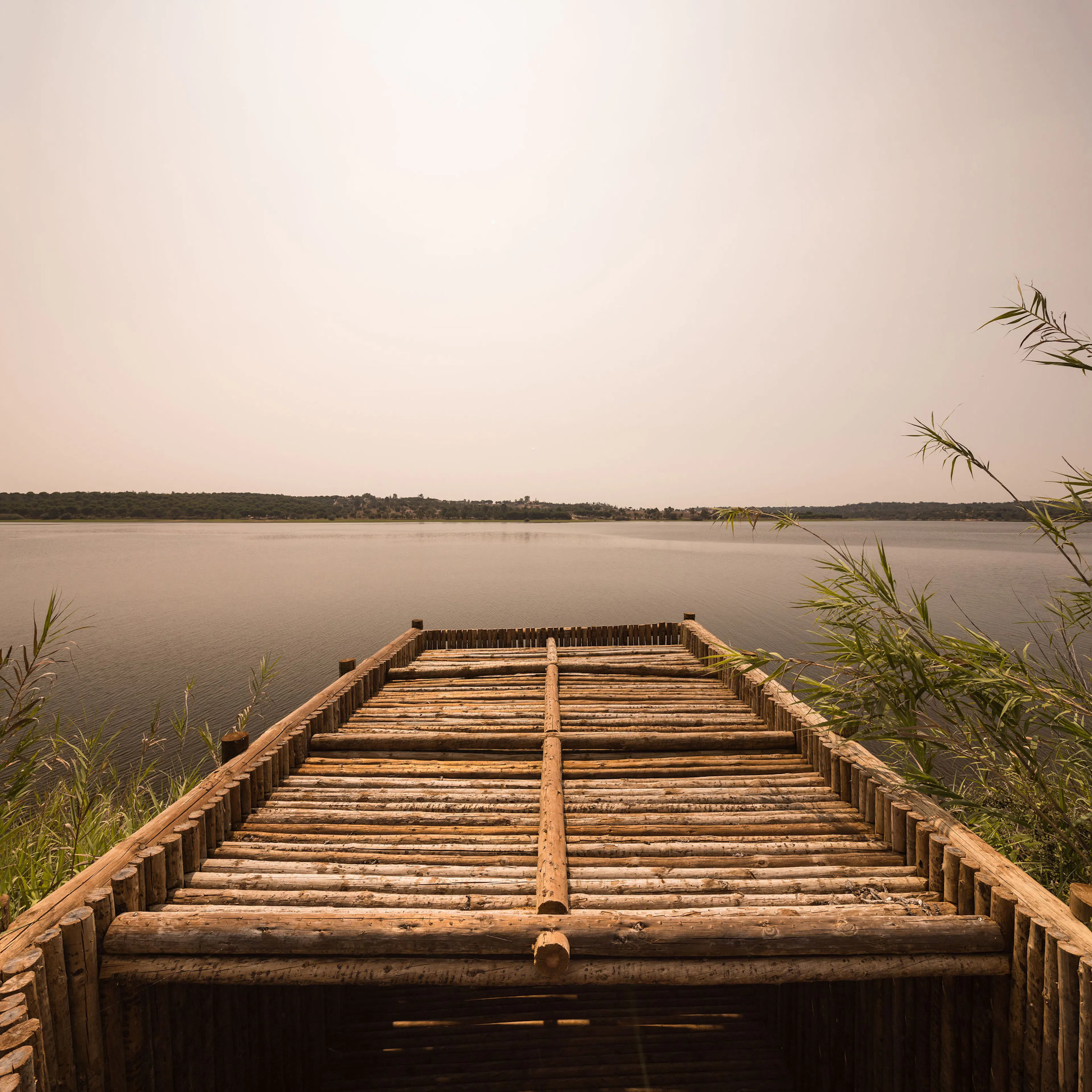 Diffuse Mirror — 4