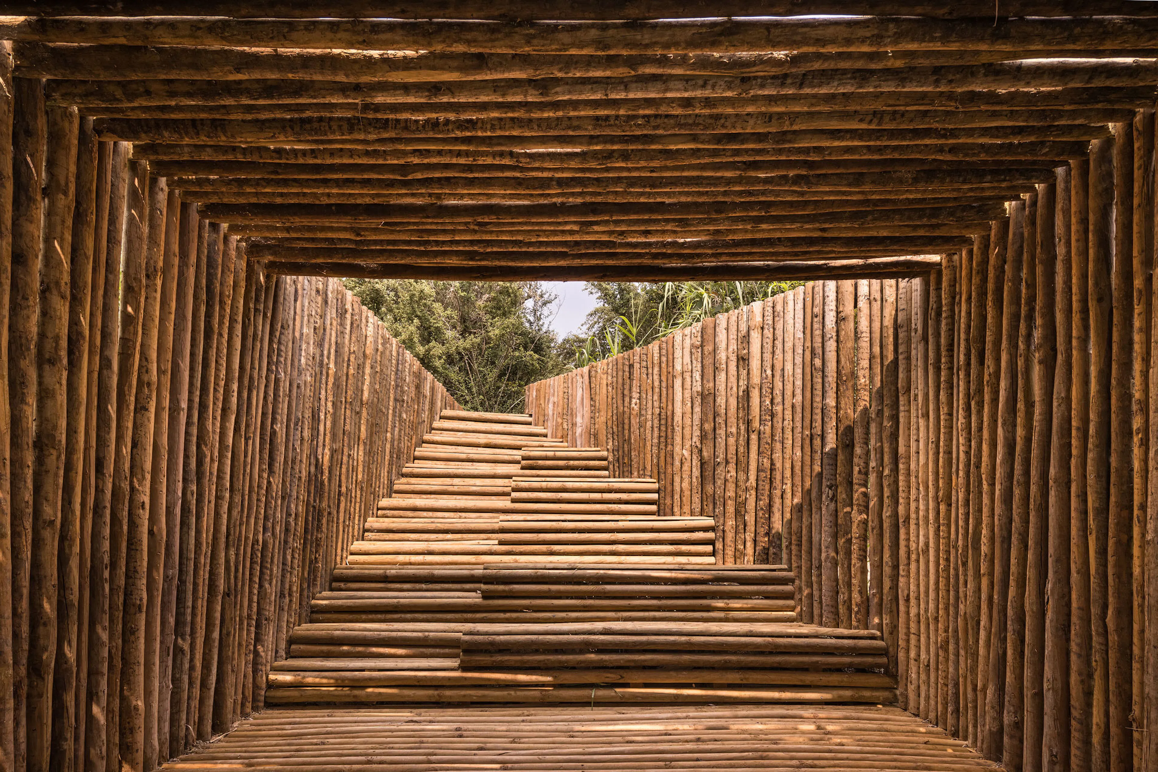 Diffuse Mirror — 5