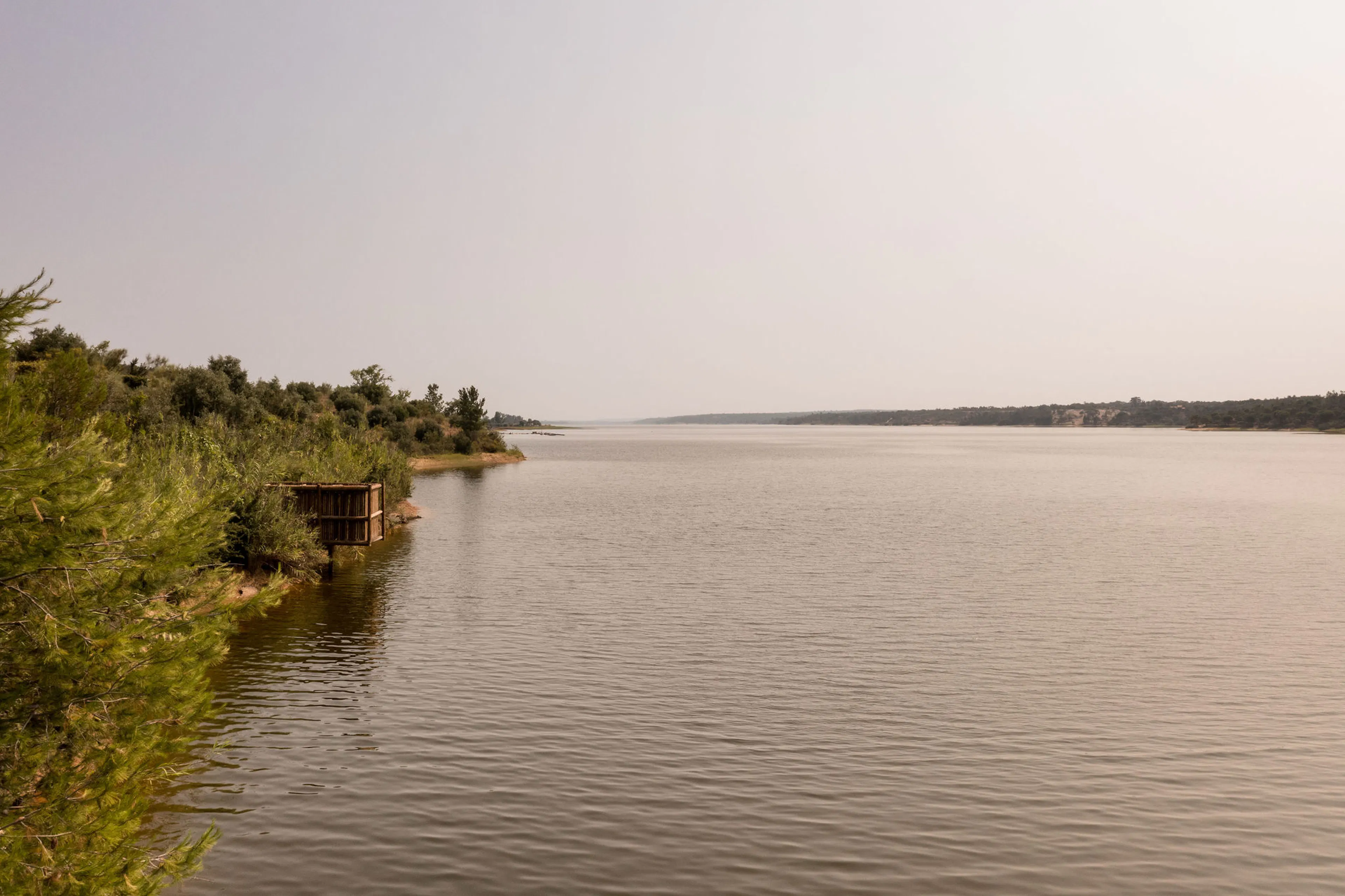 Diffuse Mirror — 14