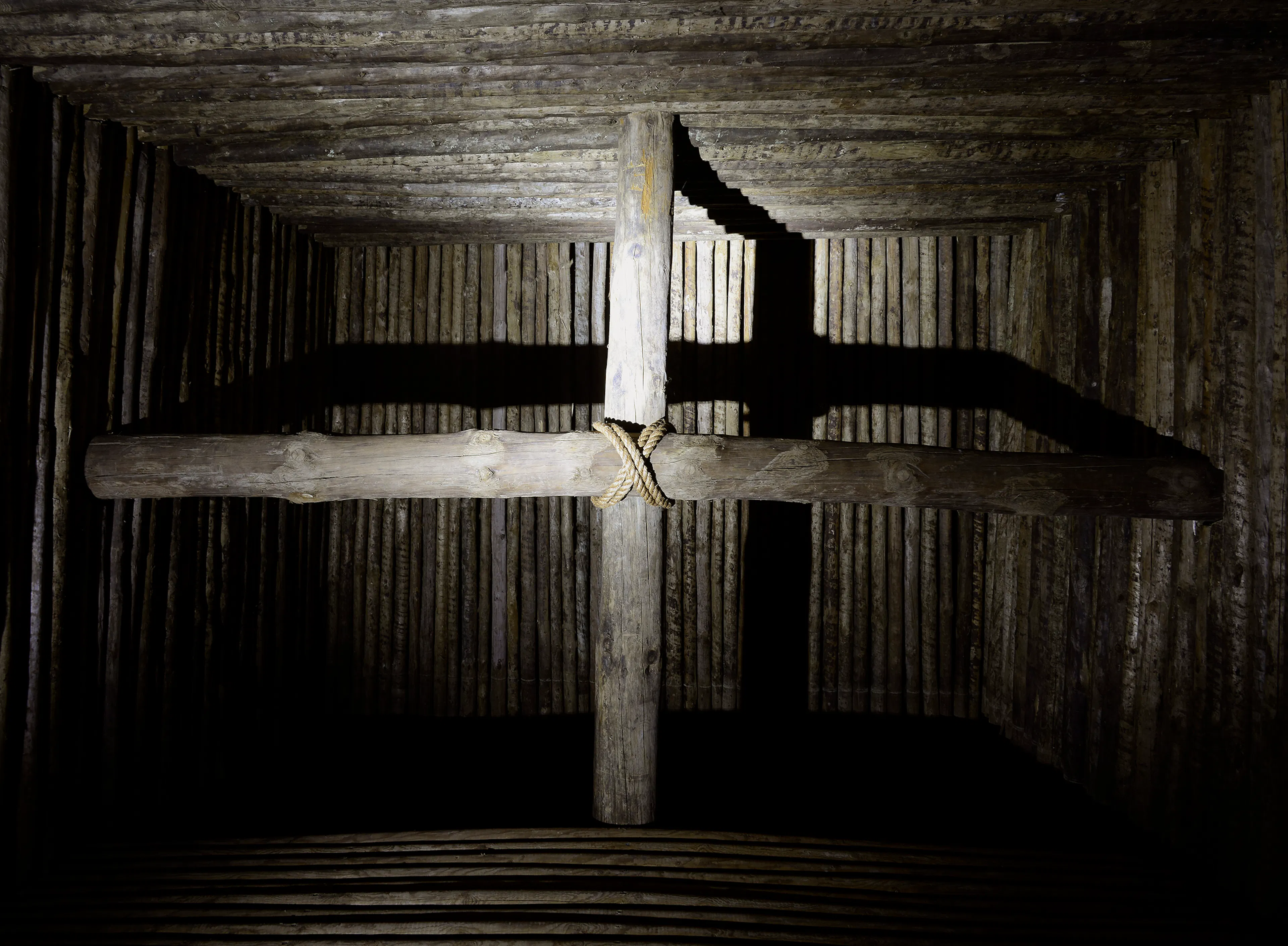 Diffuse Mirror — 15