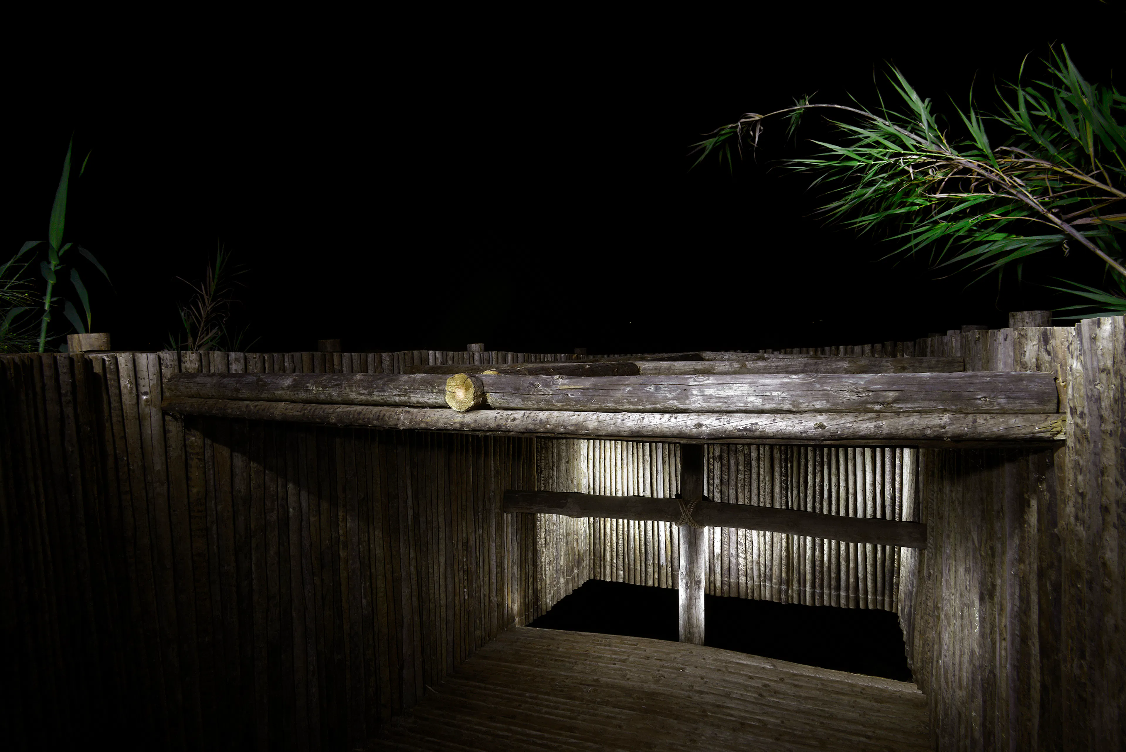 Diffuse Mirror — 16