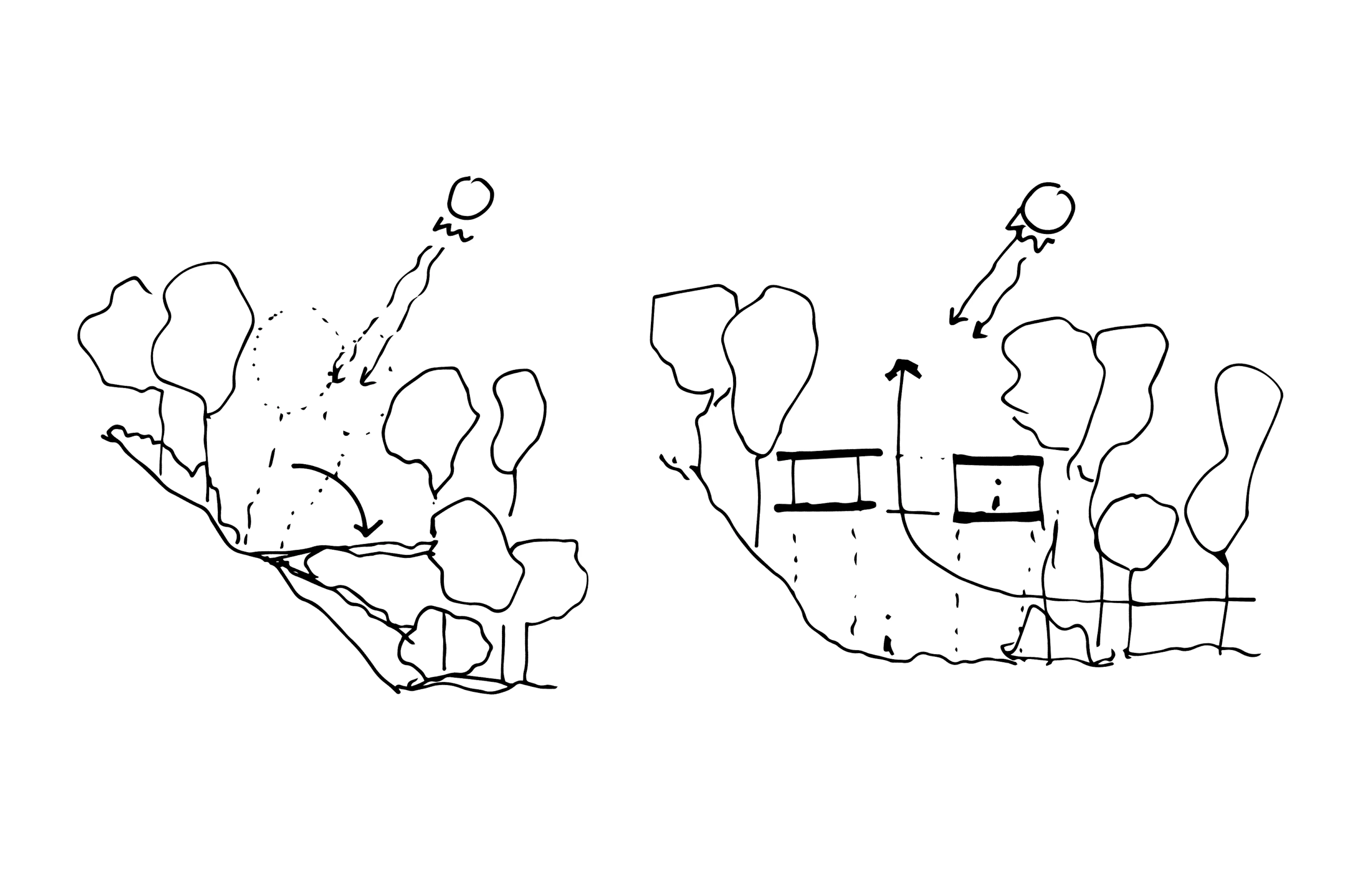 Sinfonía Verde — 23