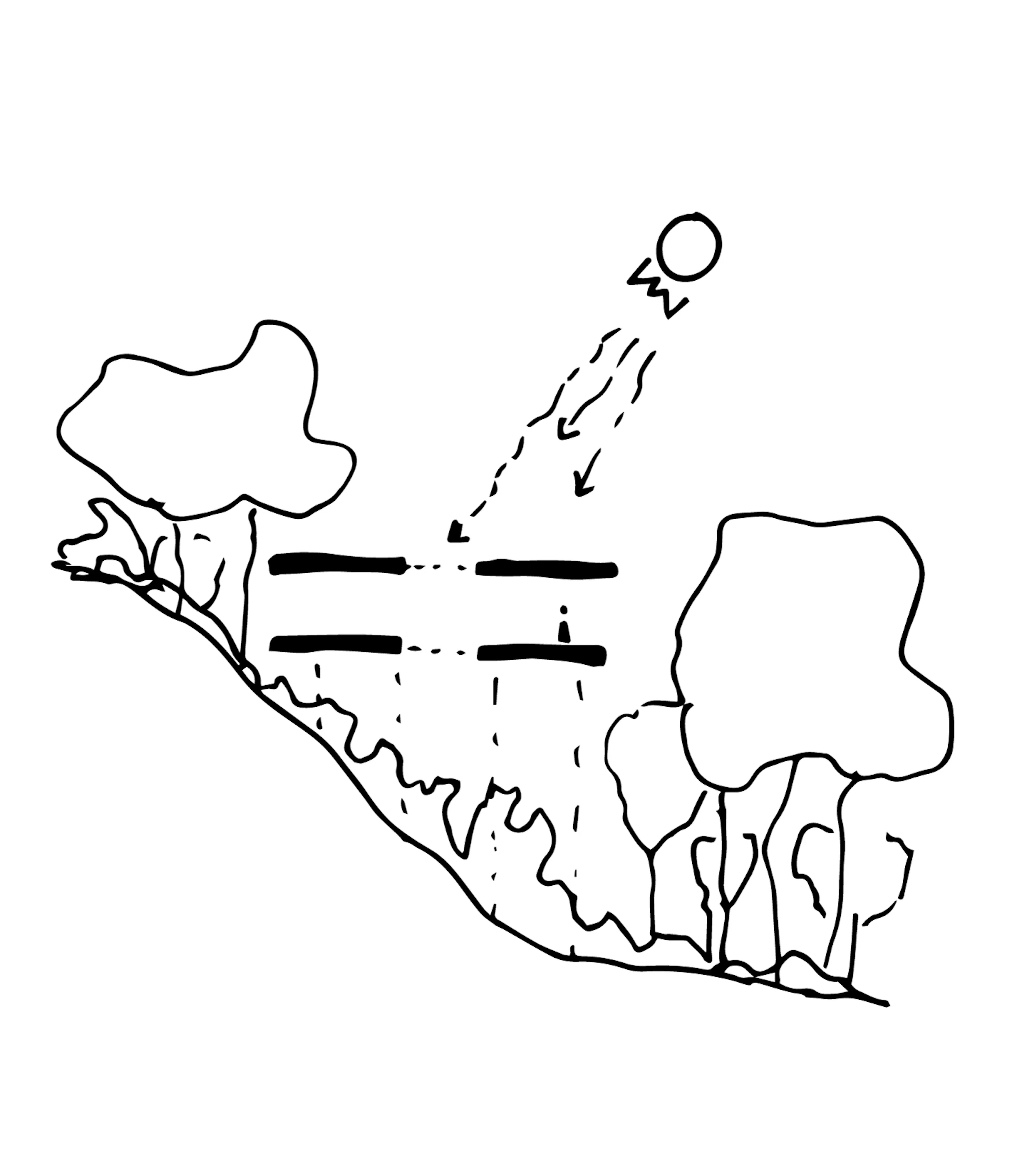 Sinfonía Verde — 24