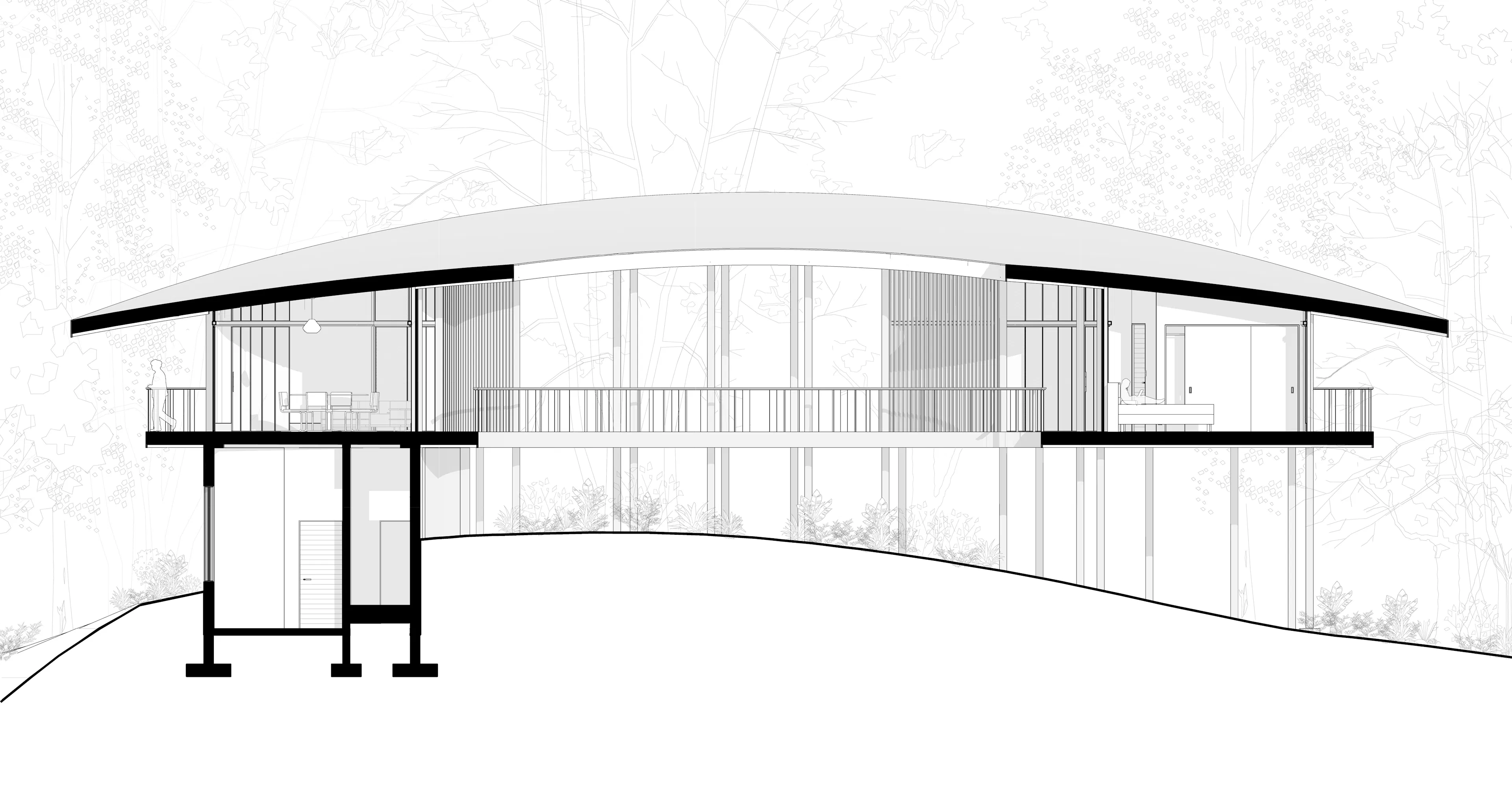 Sinfonía Verde — 22