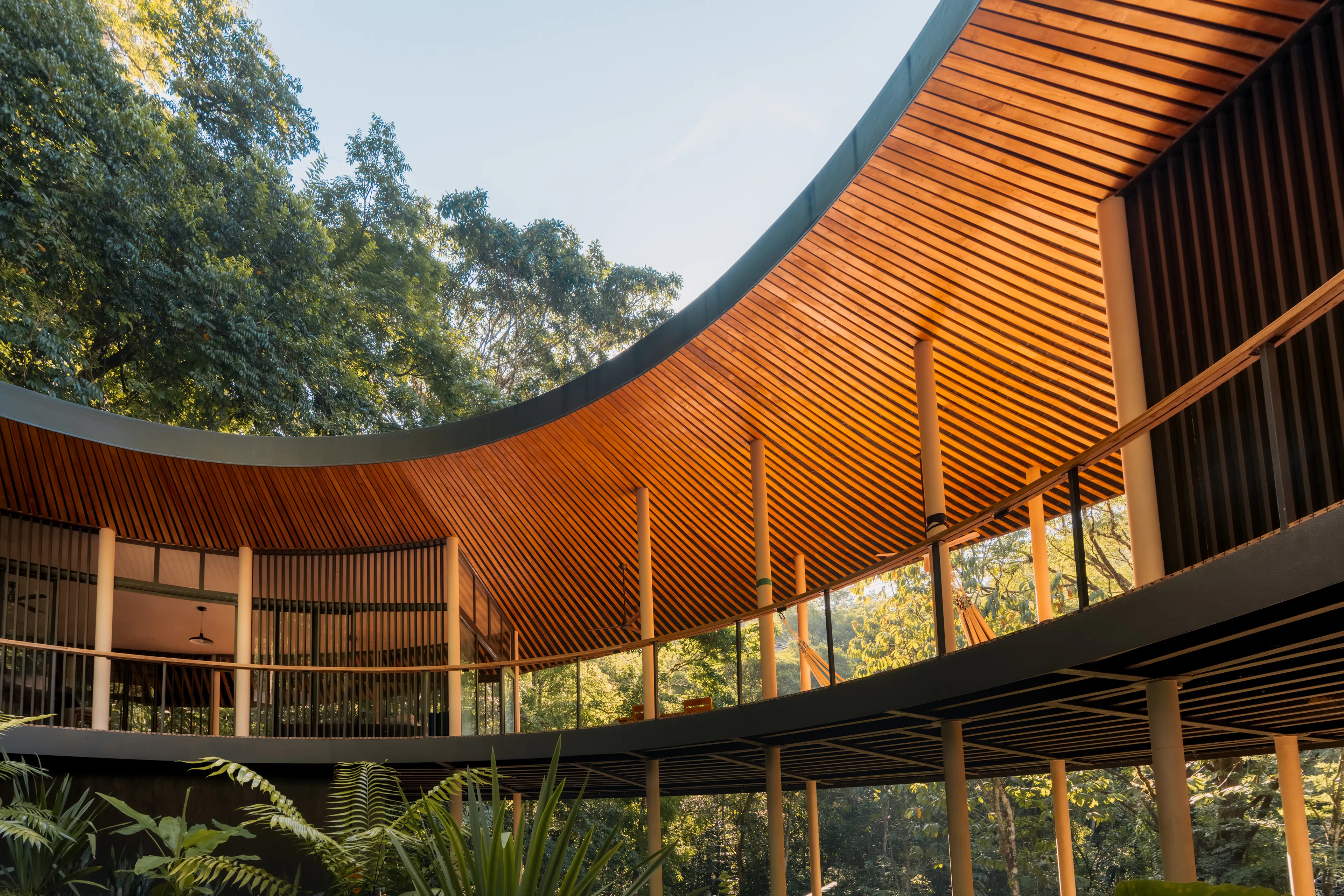 Sinfonía Verde — 8