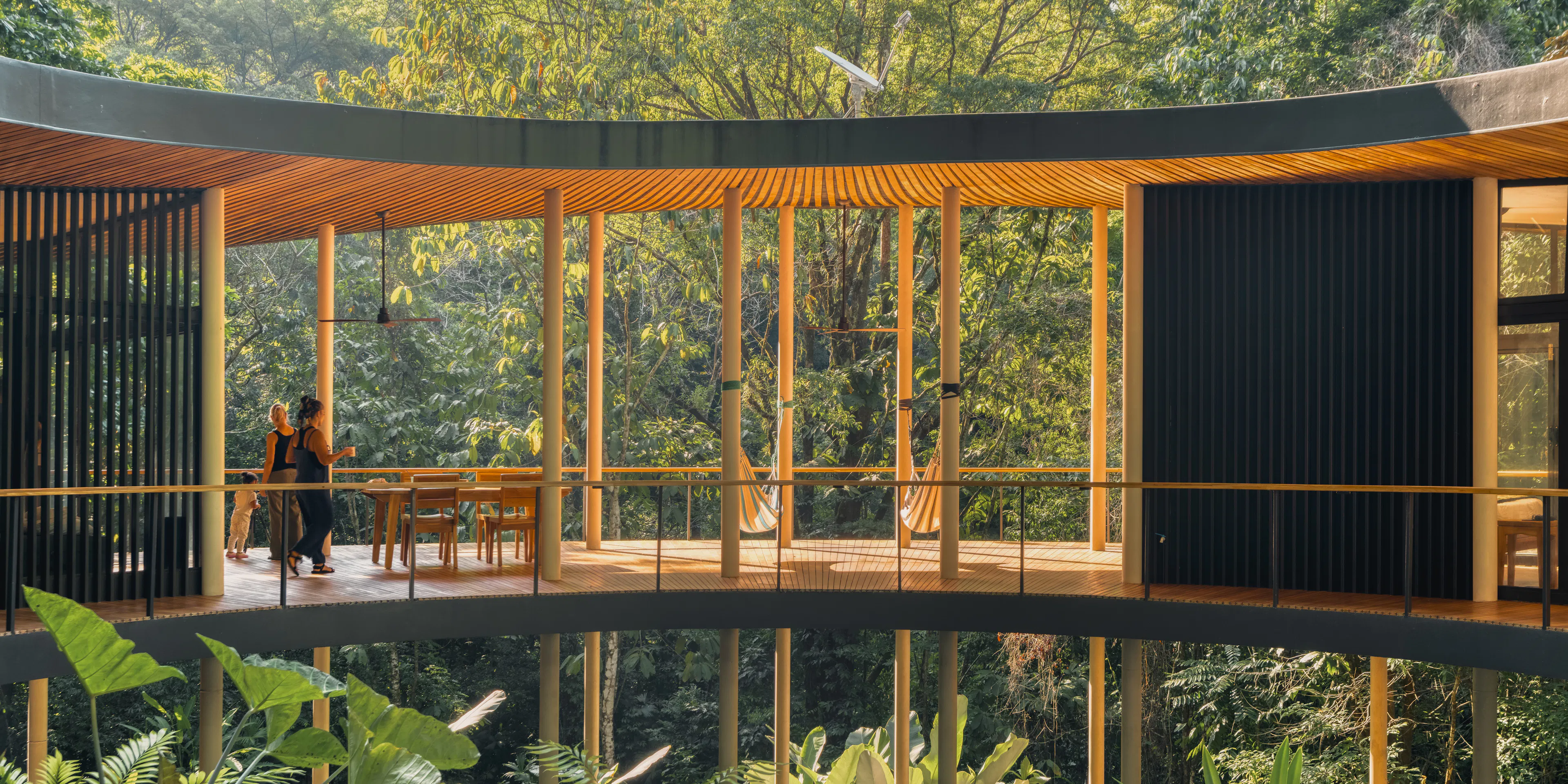 Sinfonía Verde — 5