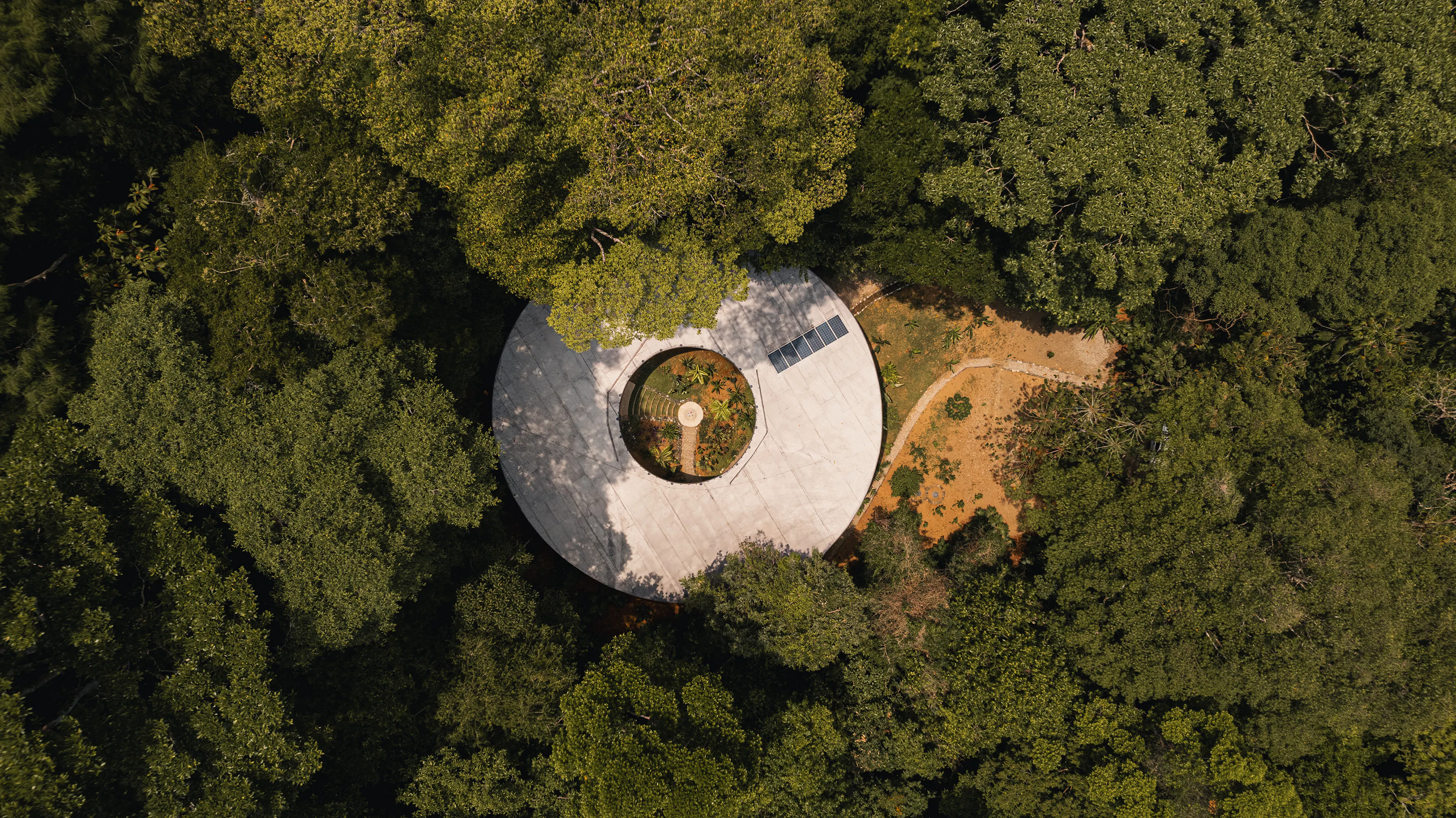 Sinfonía Verde — 16