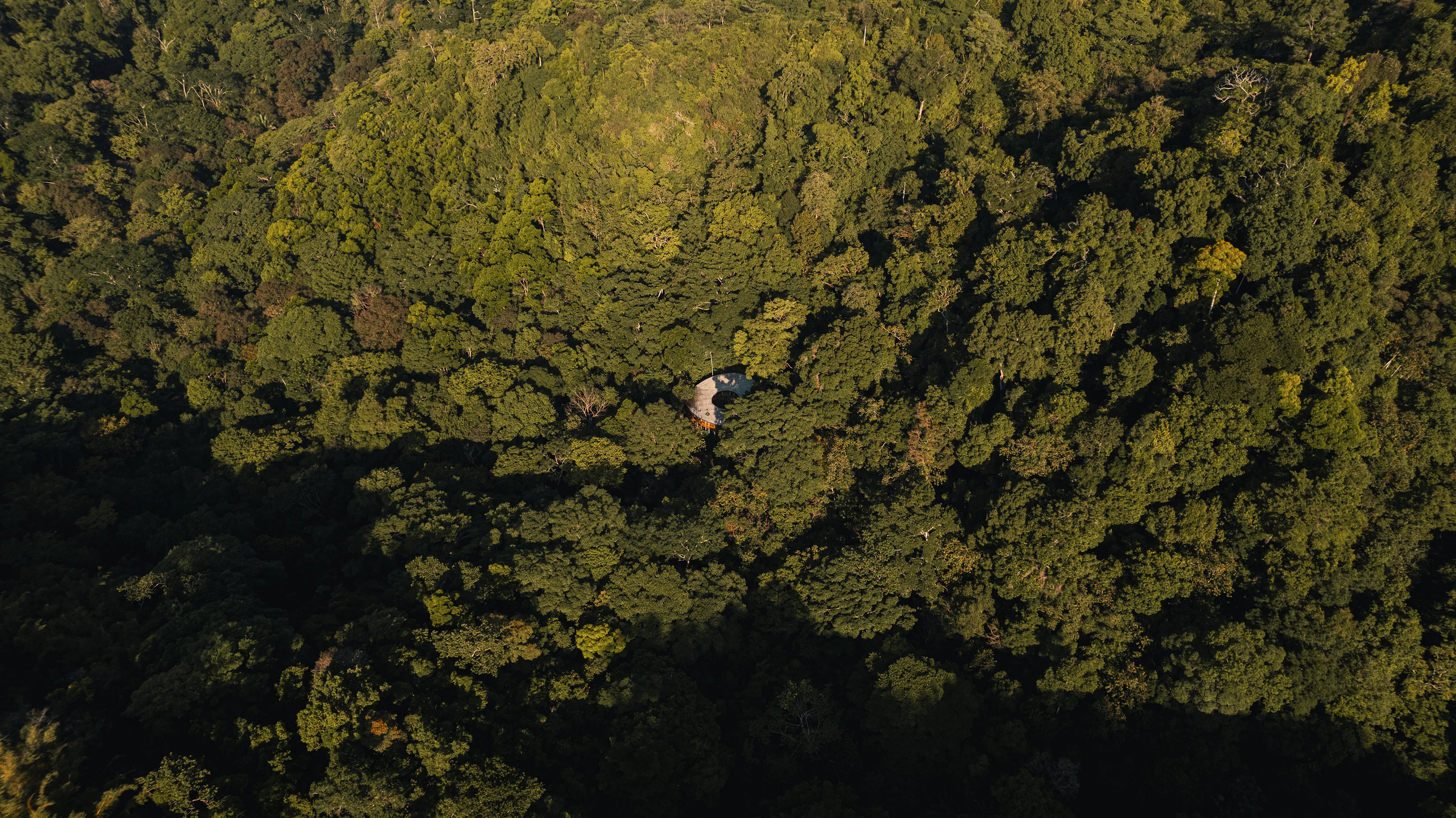 Sinfonía Verde — 14