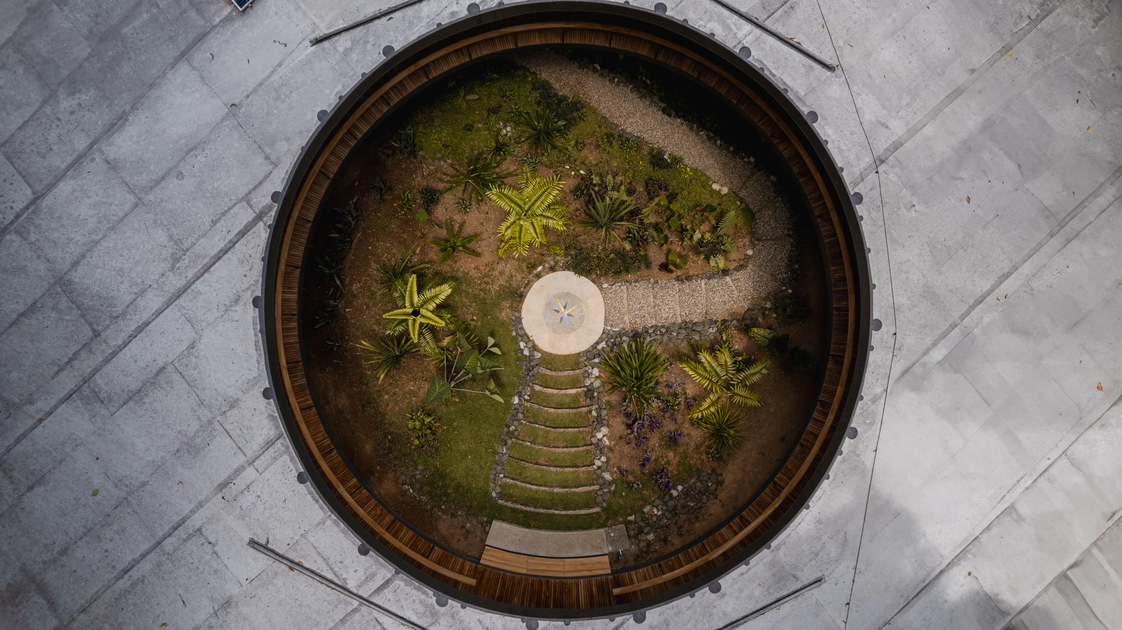 Sinfonía Verde — 18