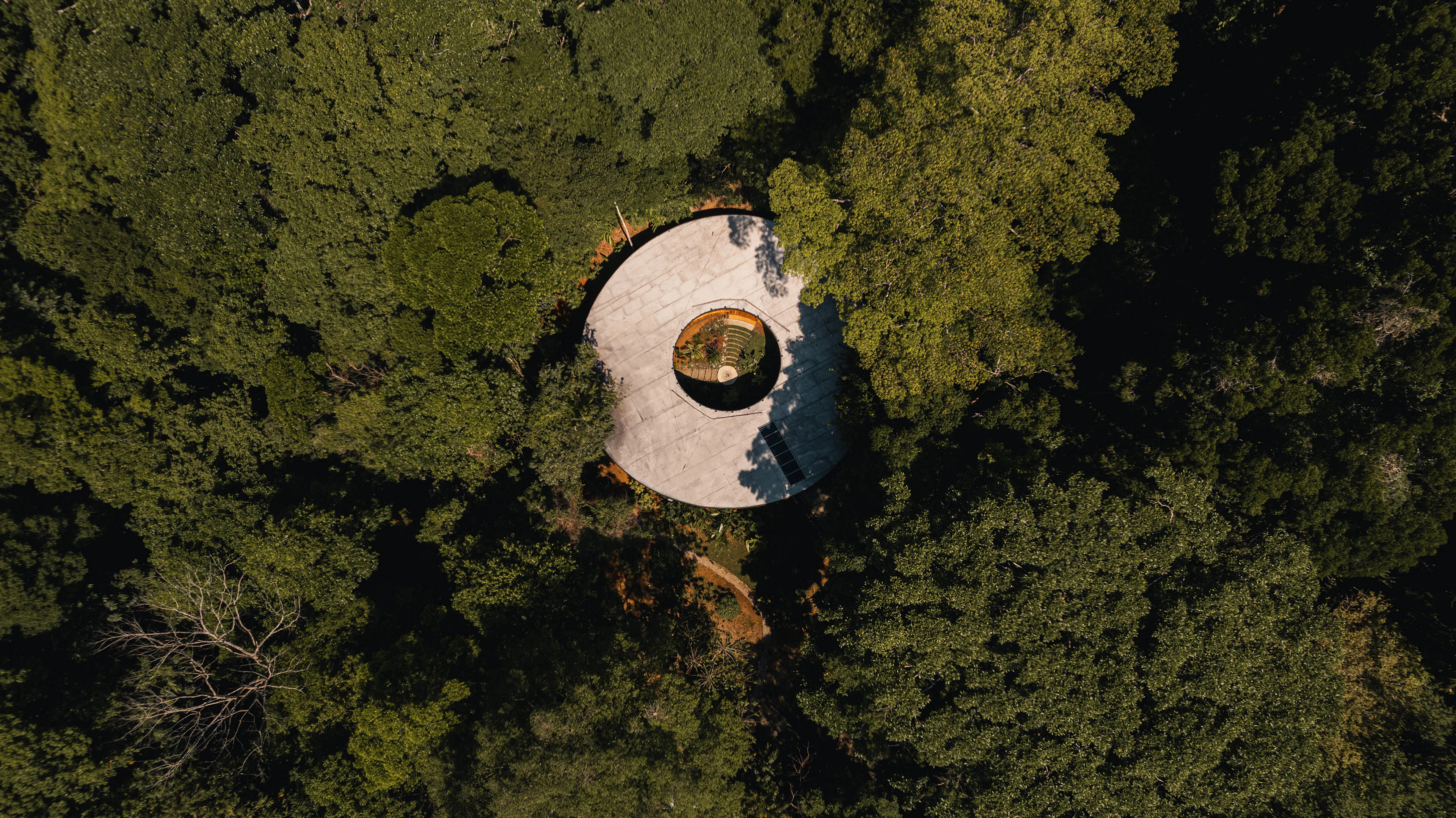 Sinfonía Verde — 15