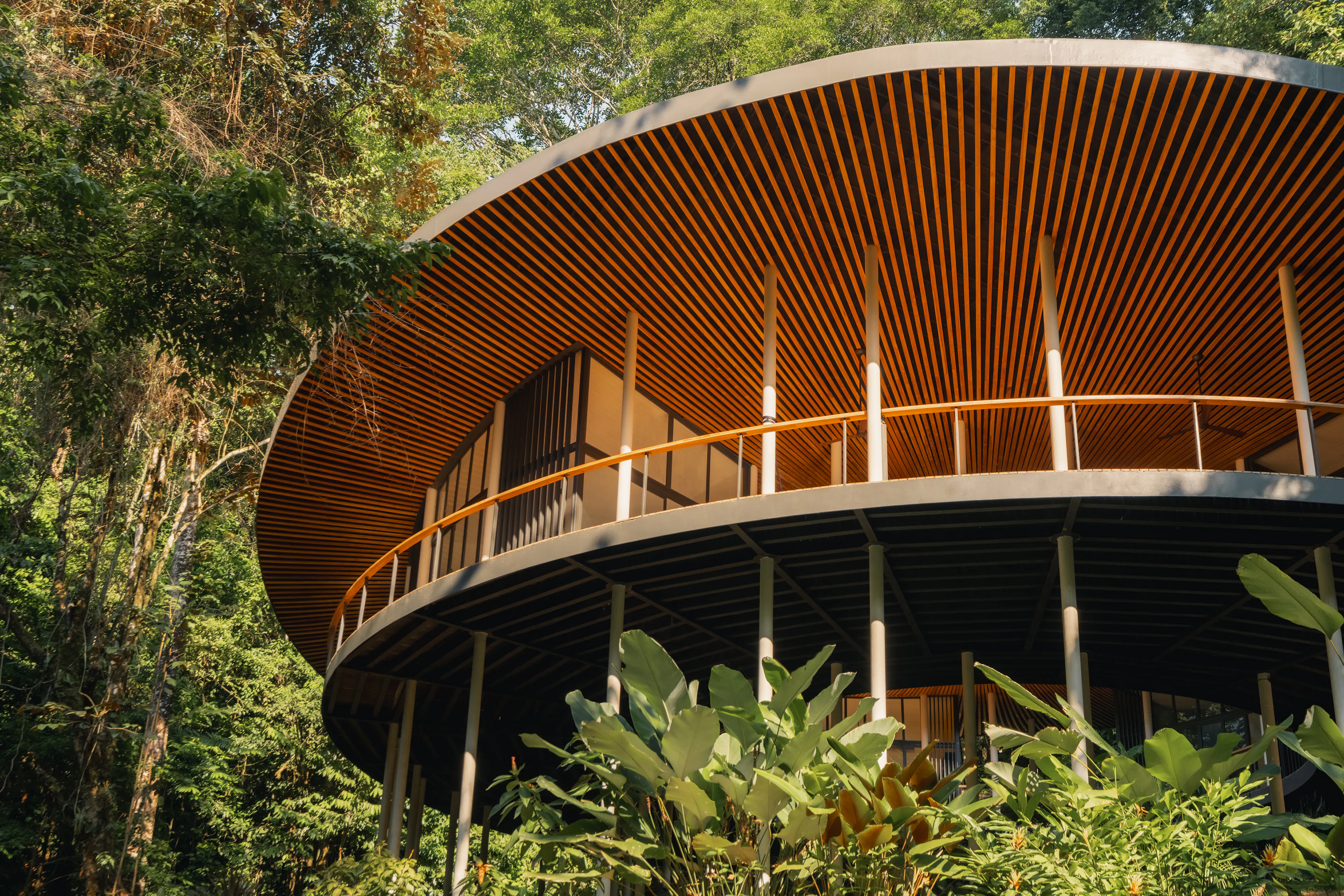 Sinfonía Verde — 12