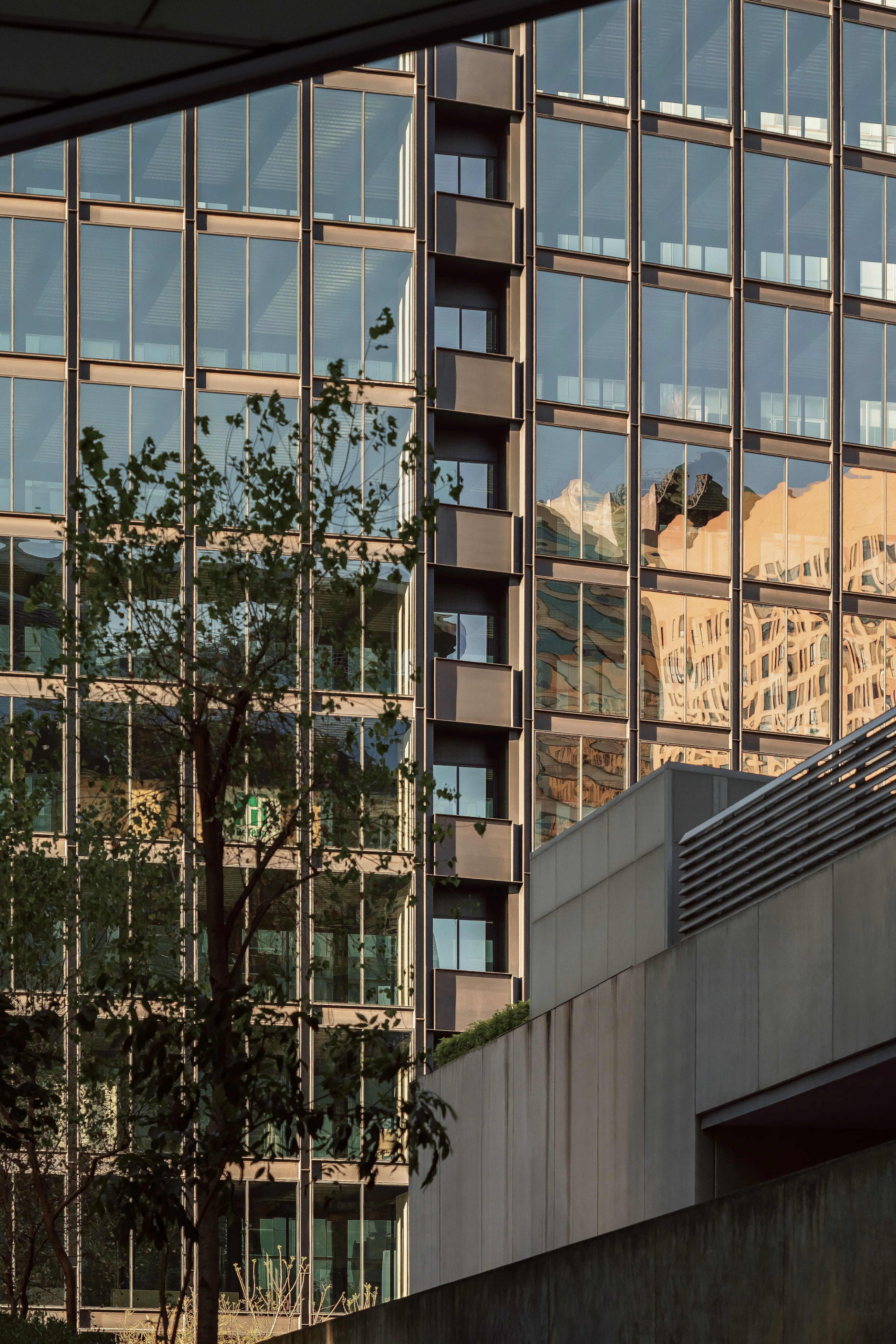 Ferrocarril de Cuernavaca 780