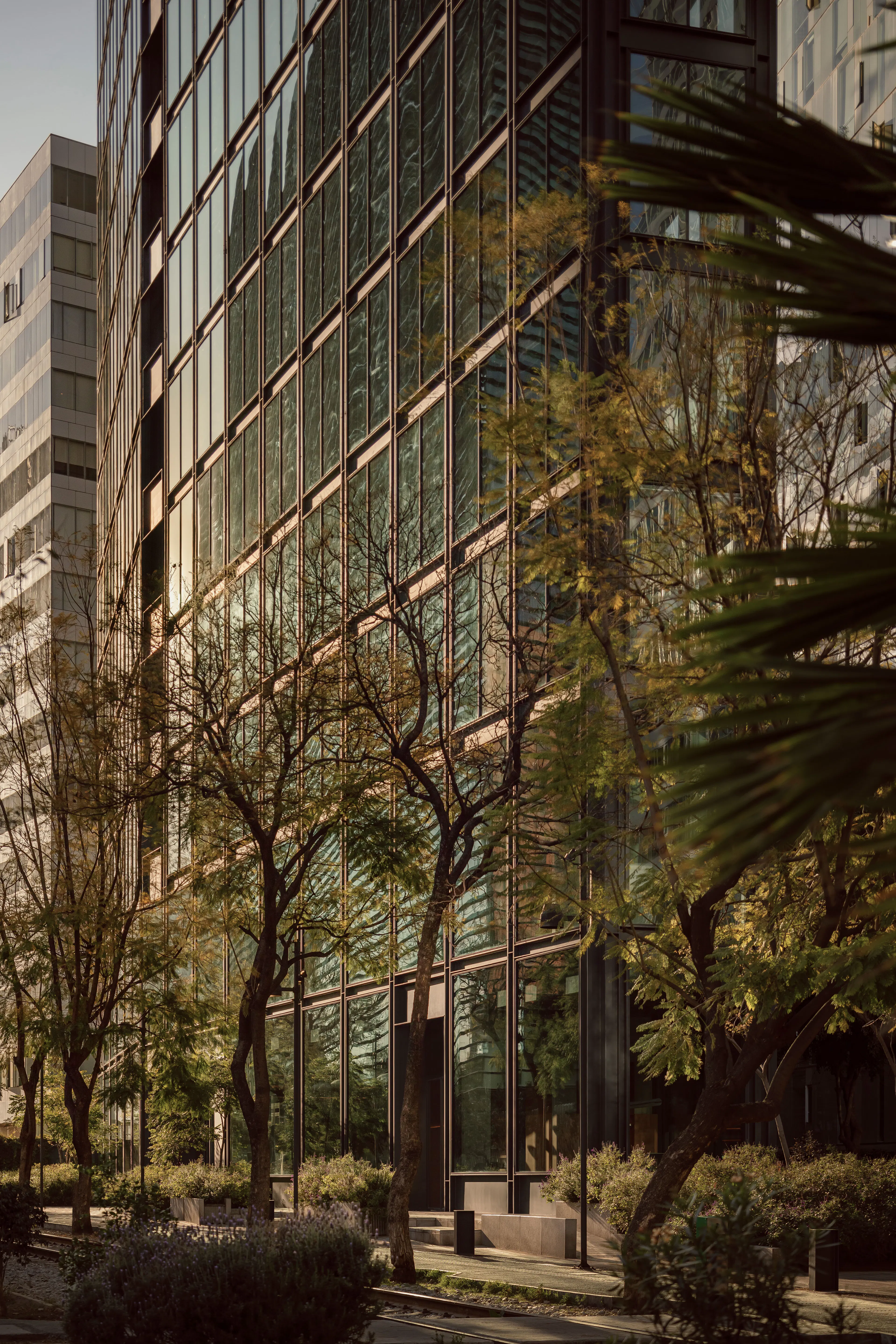 Ferrocarril de Cuernavaca 780 — 1