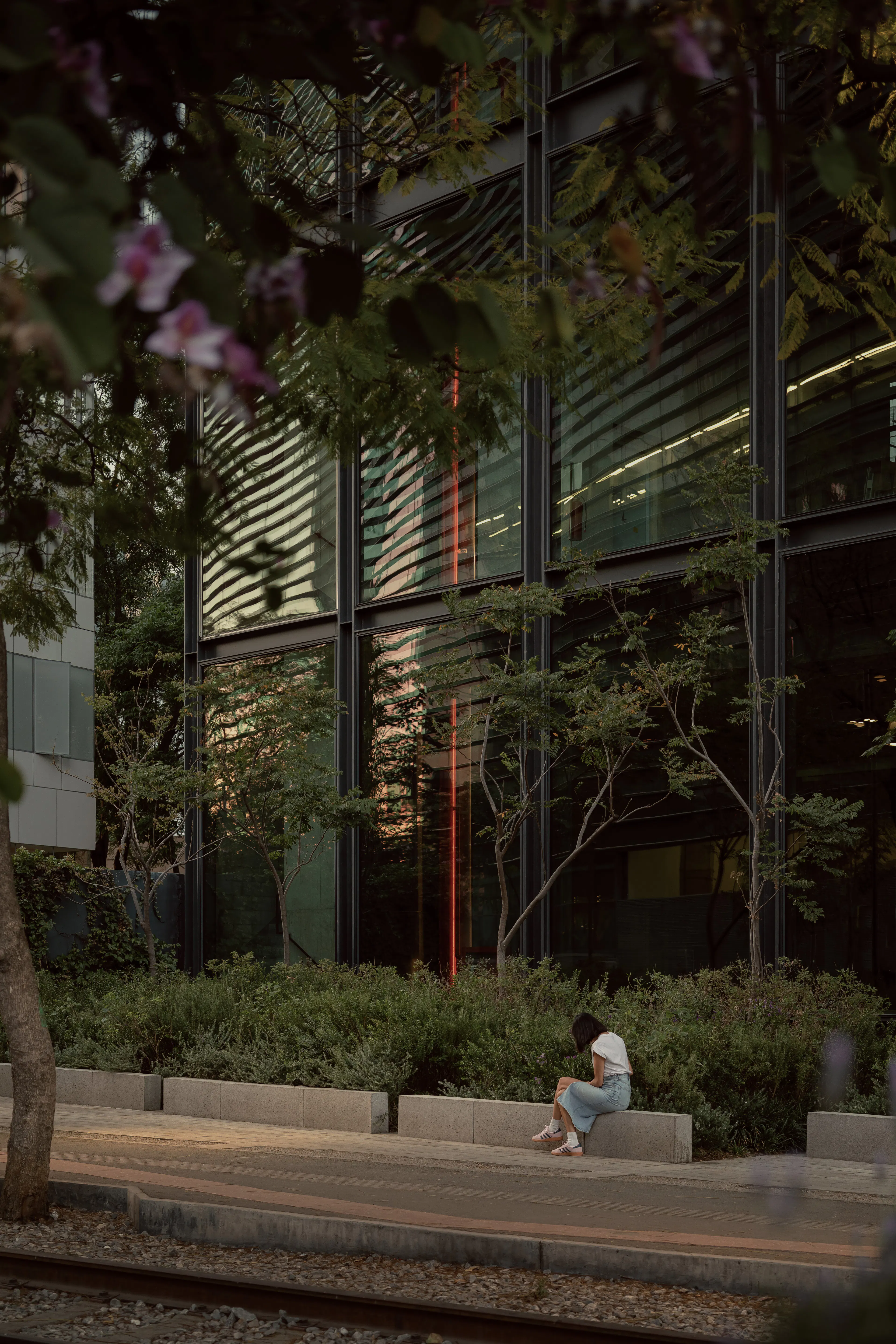 Ferrocarril de Cuernavaca 780 — 6