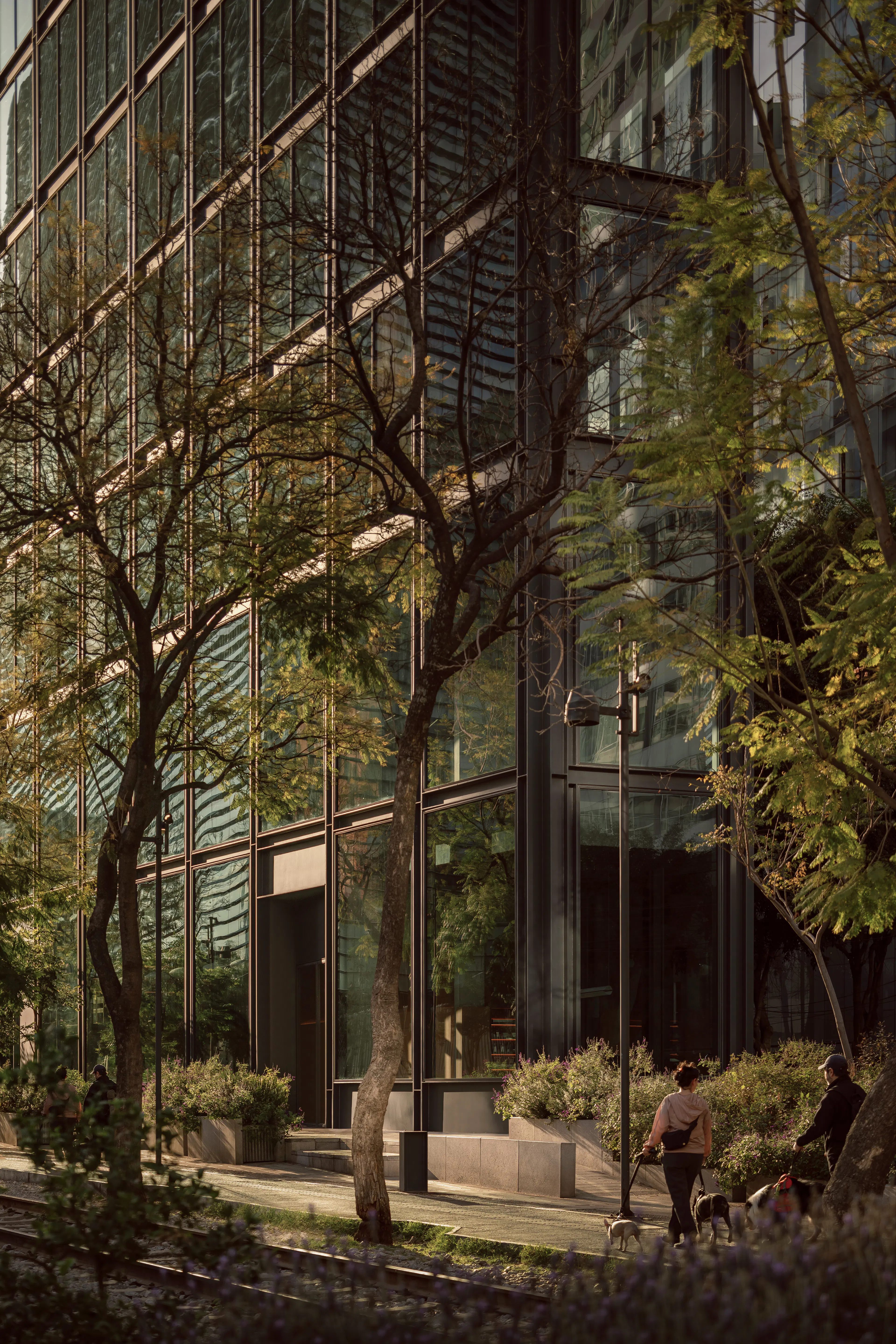 Ferrocarril de Cuernavaca 780 — 7