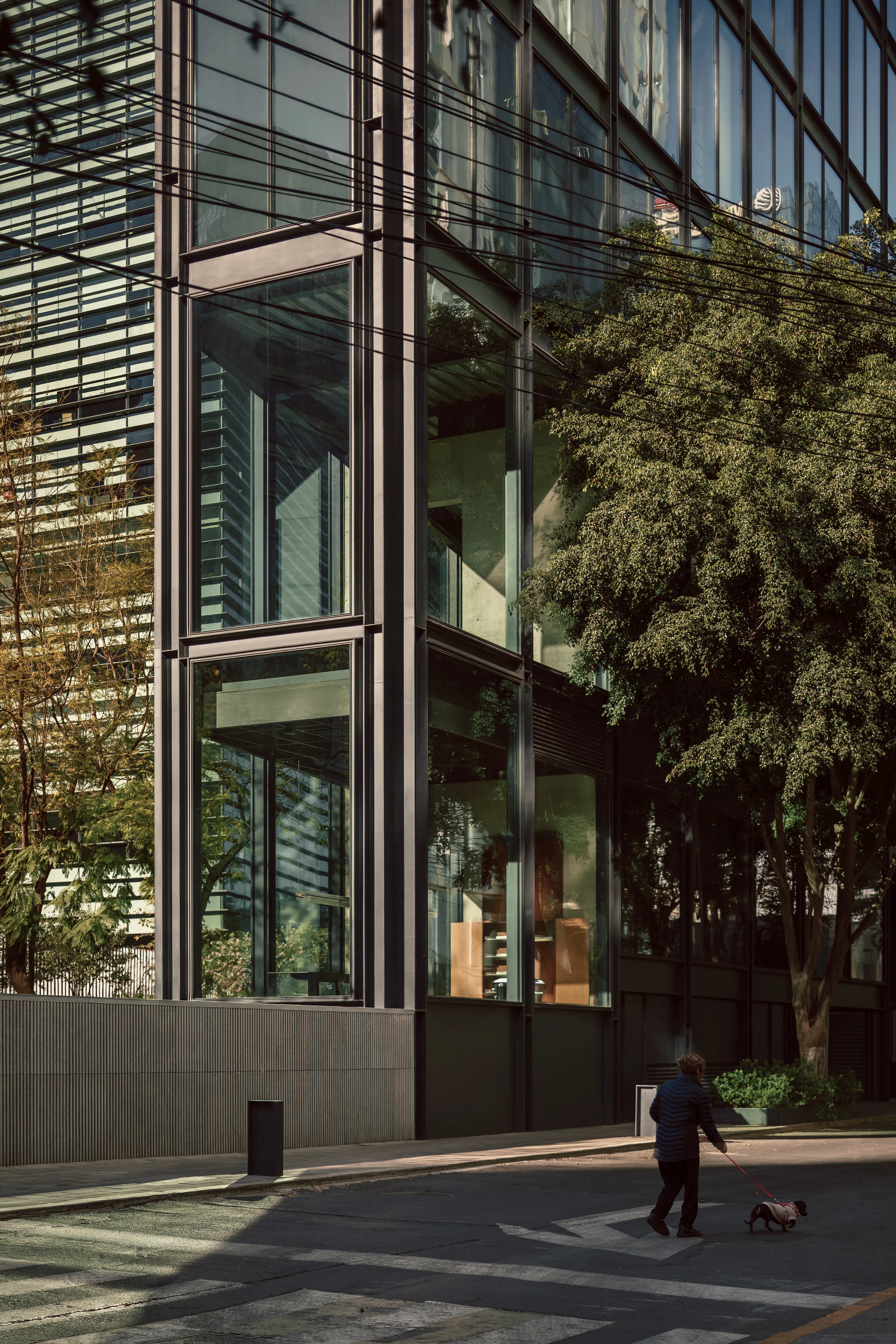 Ferrocarril de Cuernavaca 780 — 11