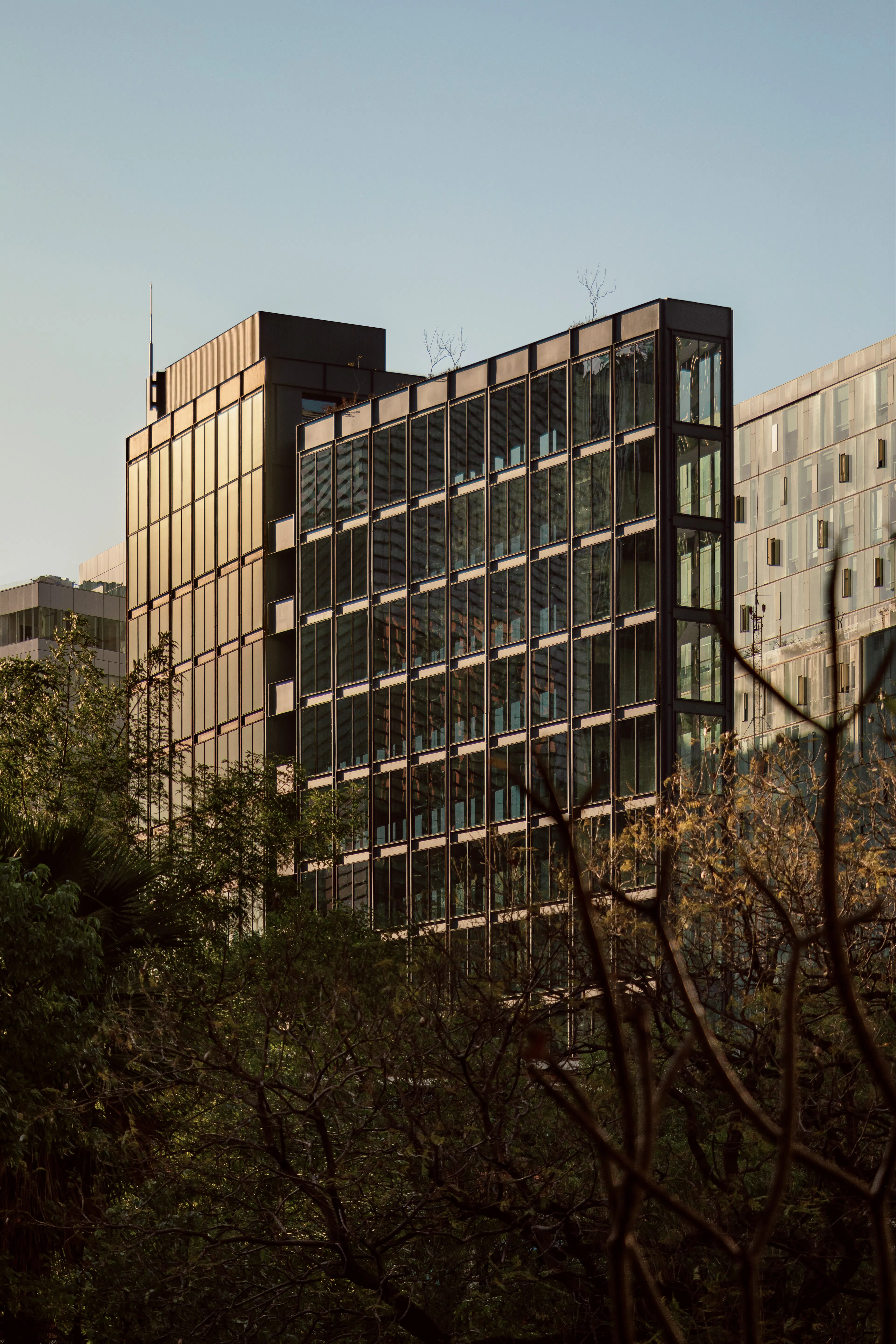 Ferrocarril de Cuernavaca 780 — 13