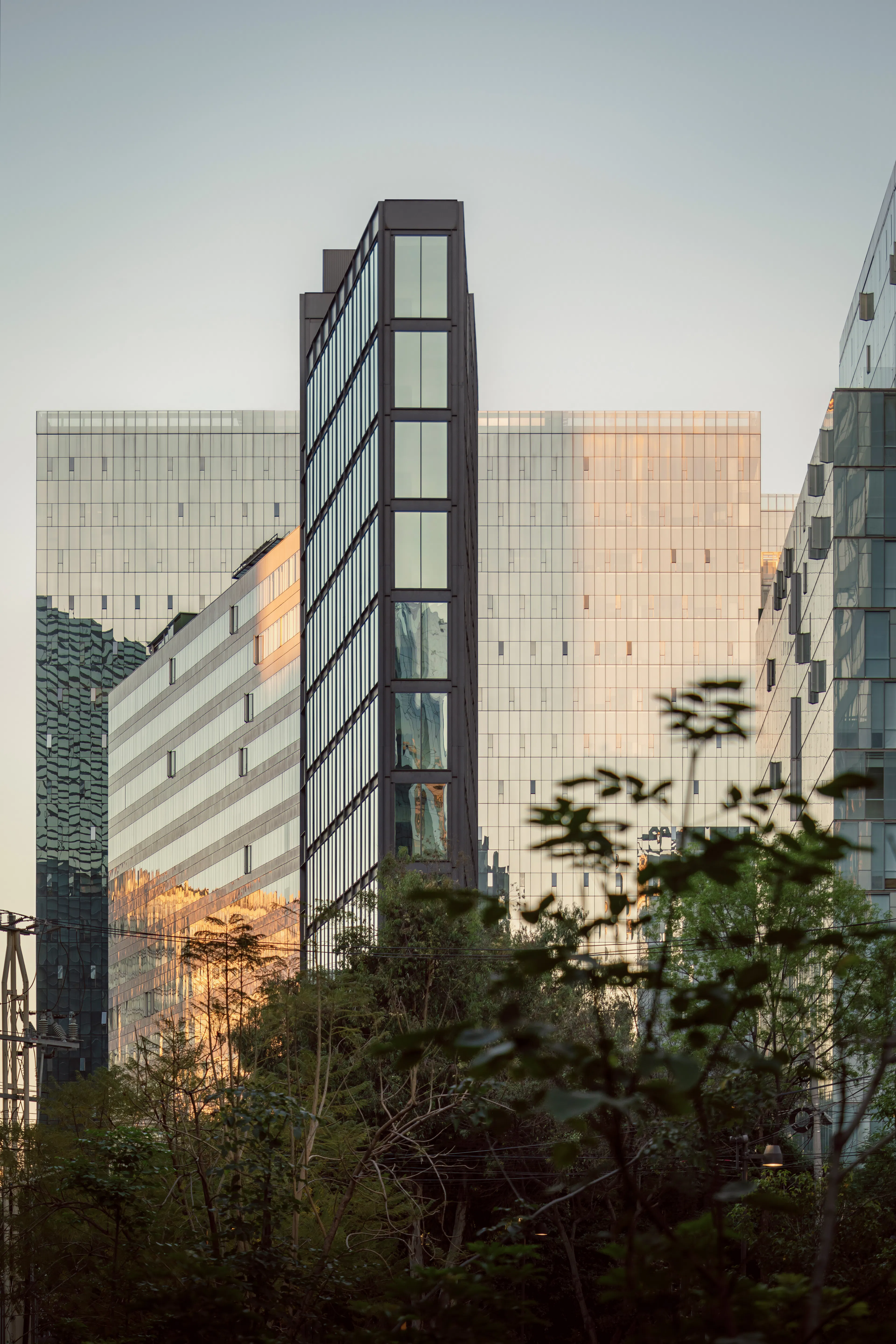 Ferrocarril de Cuernavaca 780 — 17