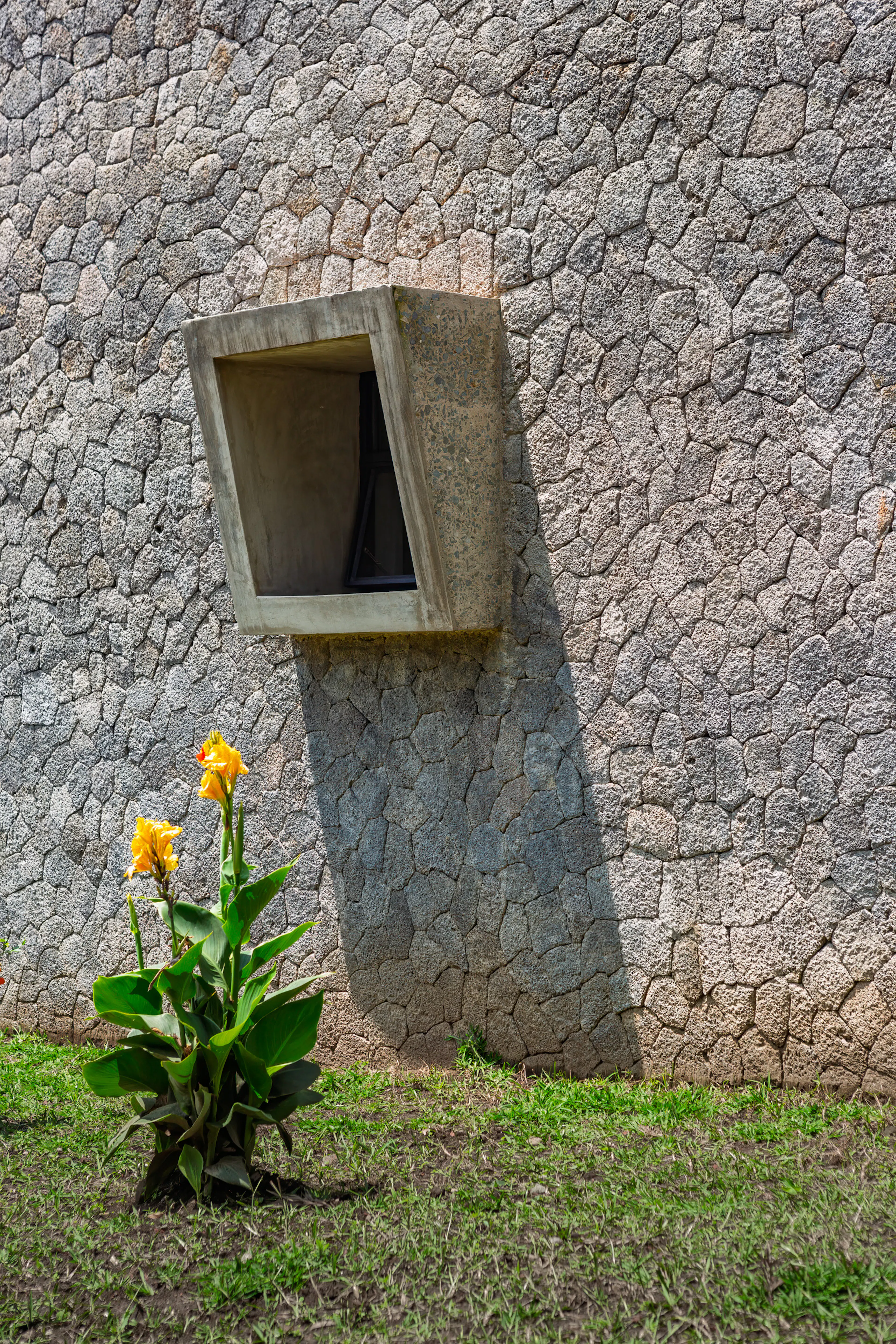 Virunga Mountain Spirits Distillery — 4