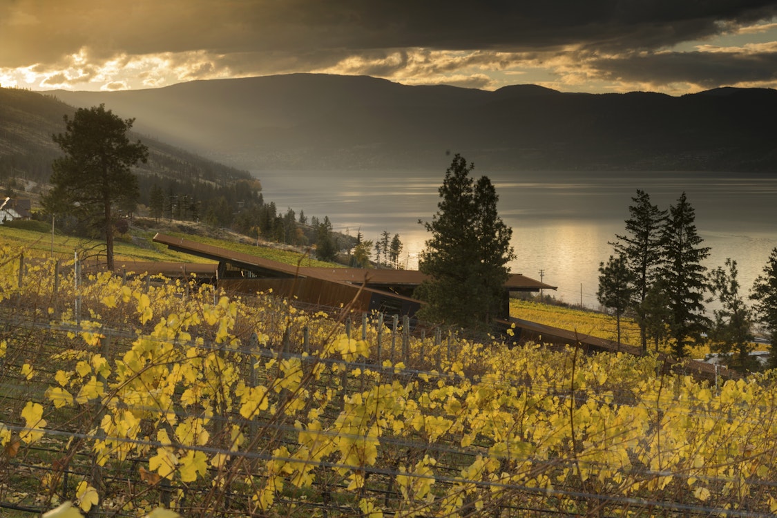 Olson Kundig Featured Project