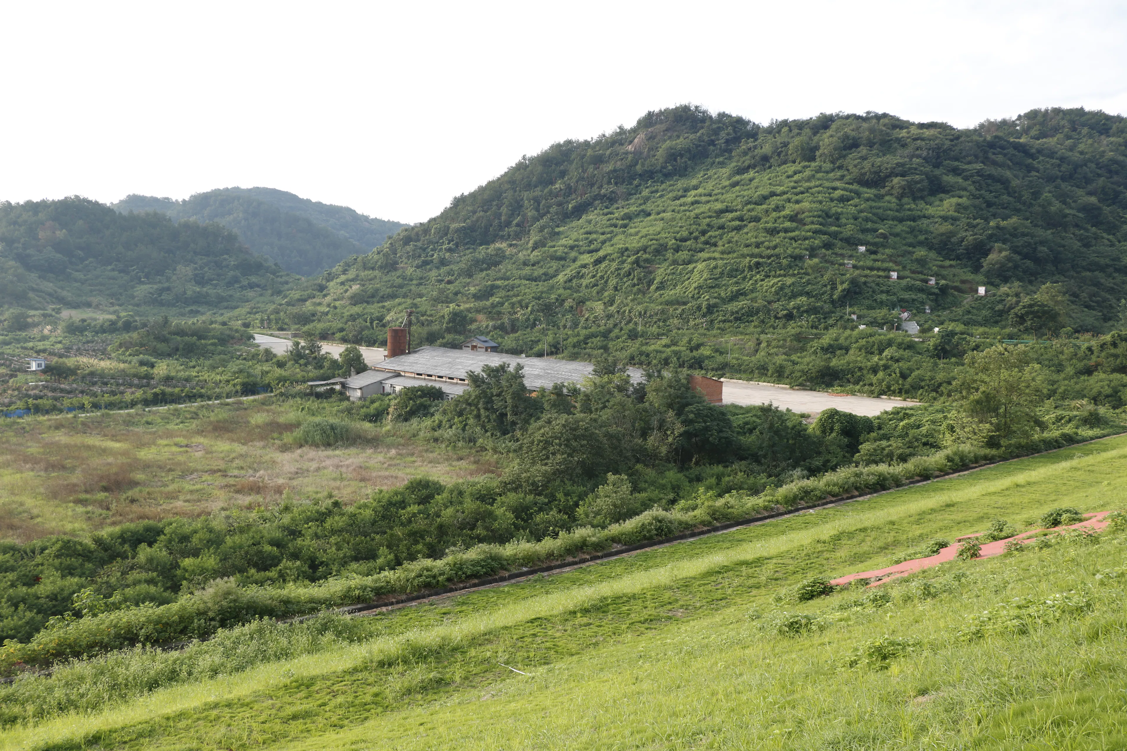 Taoli- Zhaoshan Village Center — 55