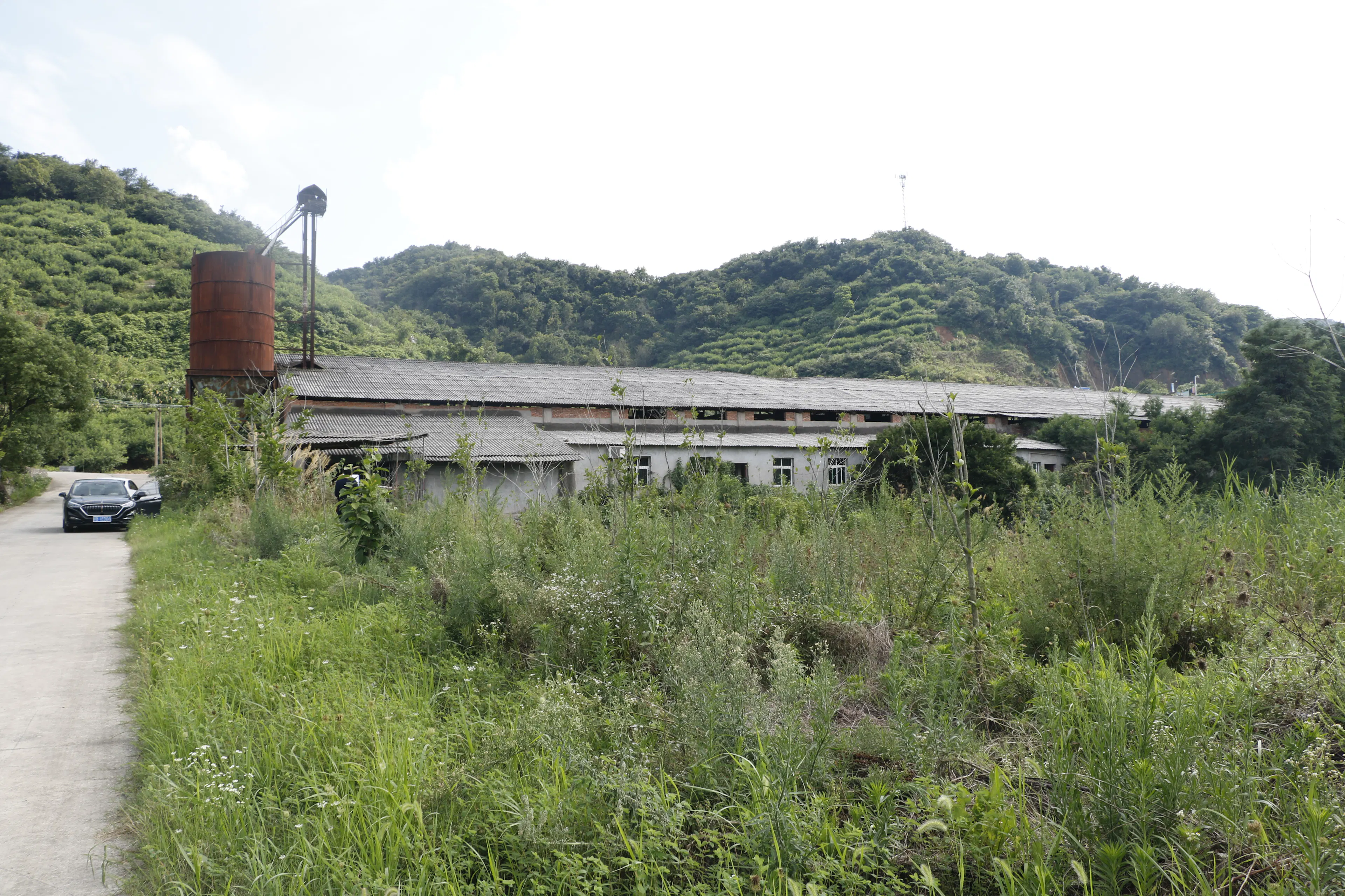 Taoli- Zhaoshan Village Center — 56