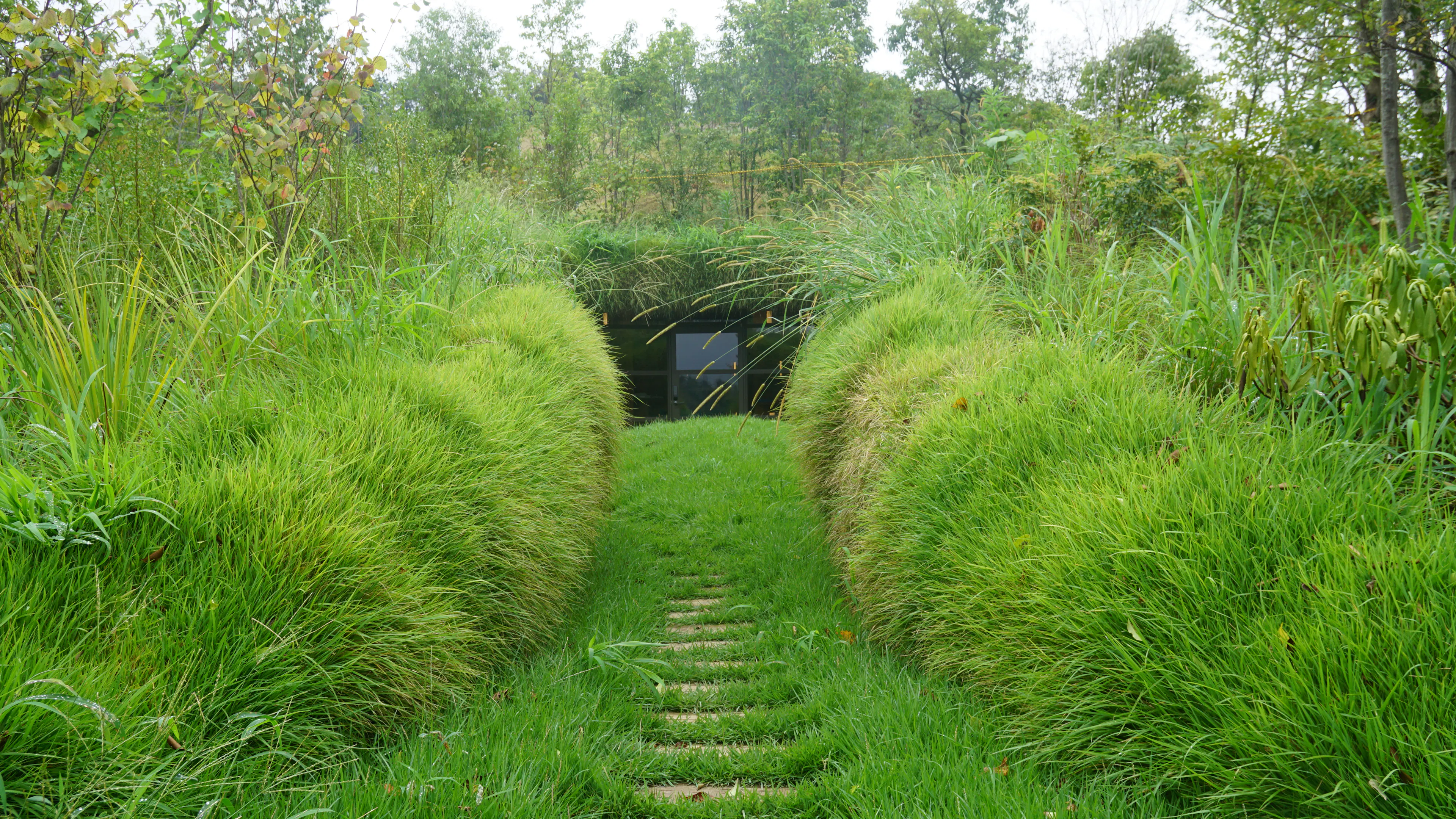 Library in the Earth — 4