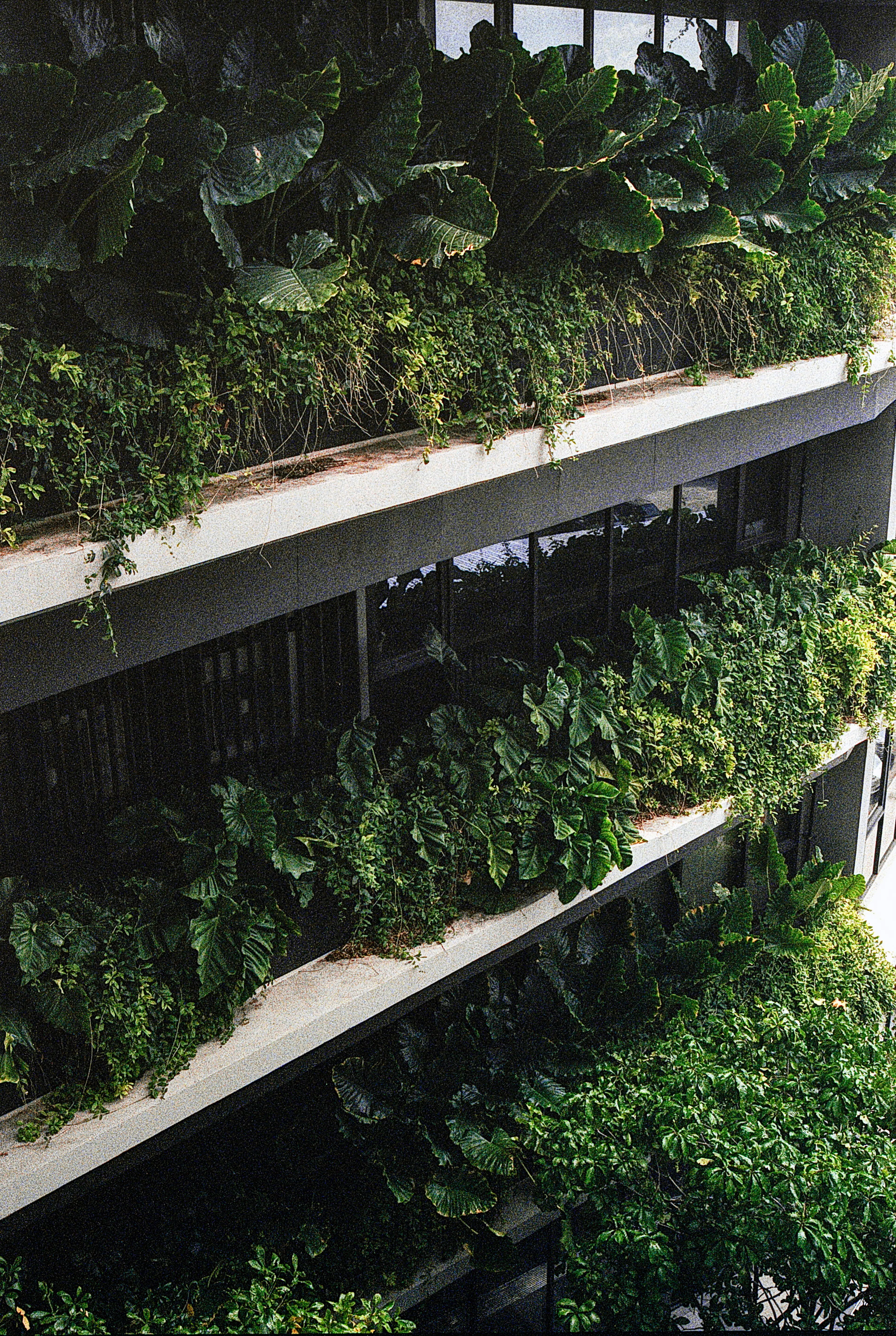 111 Praditmanutham — 12