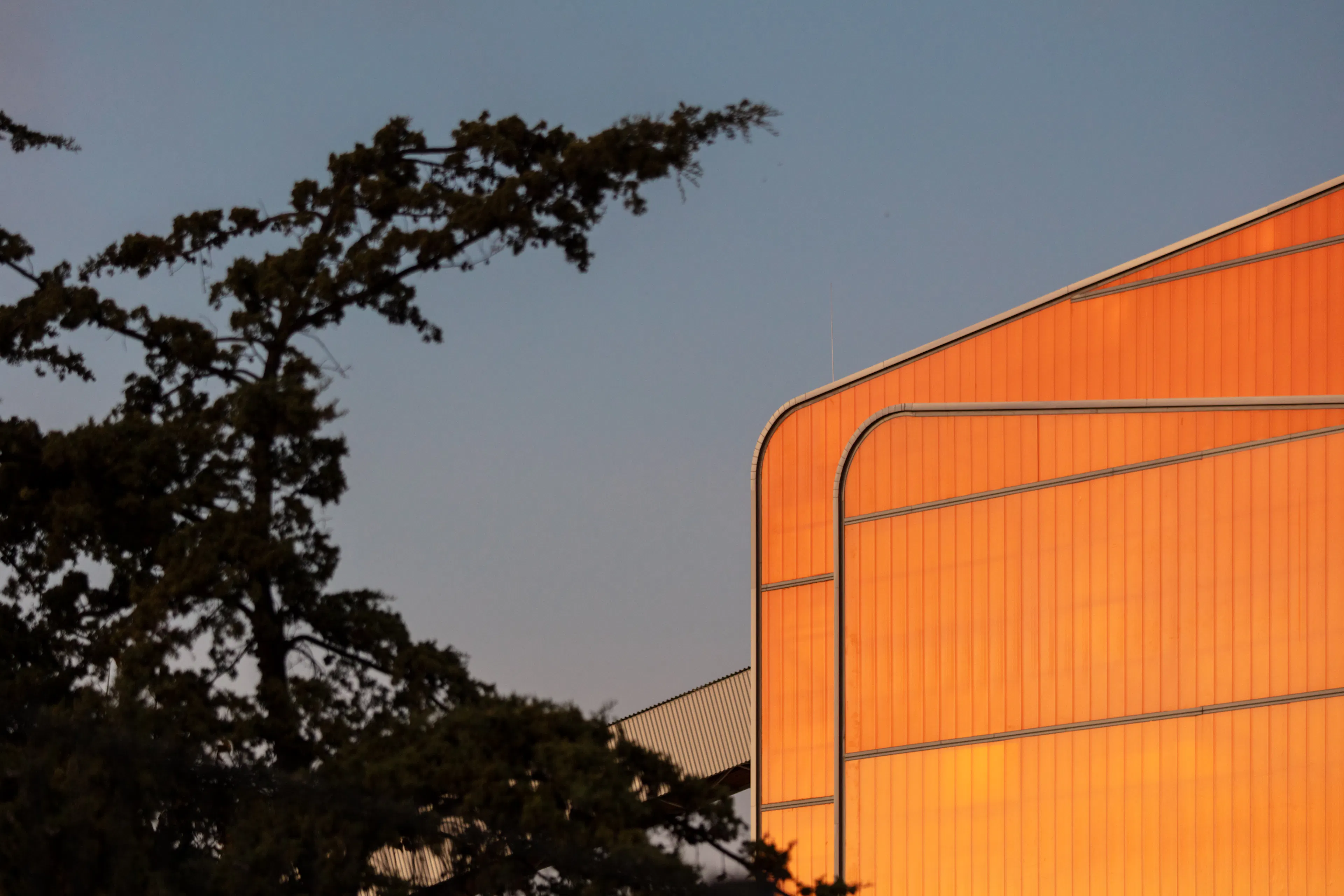 Go-Green Biomass Power Plant