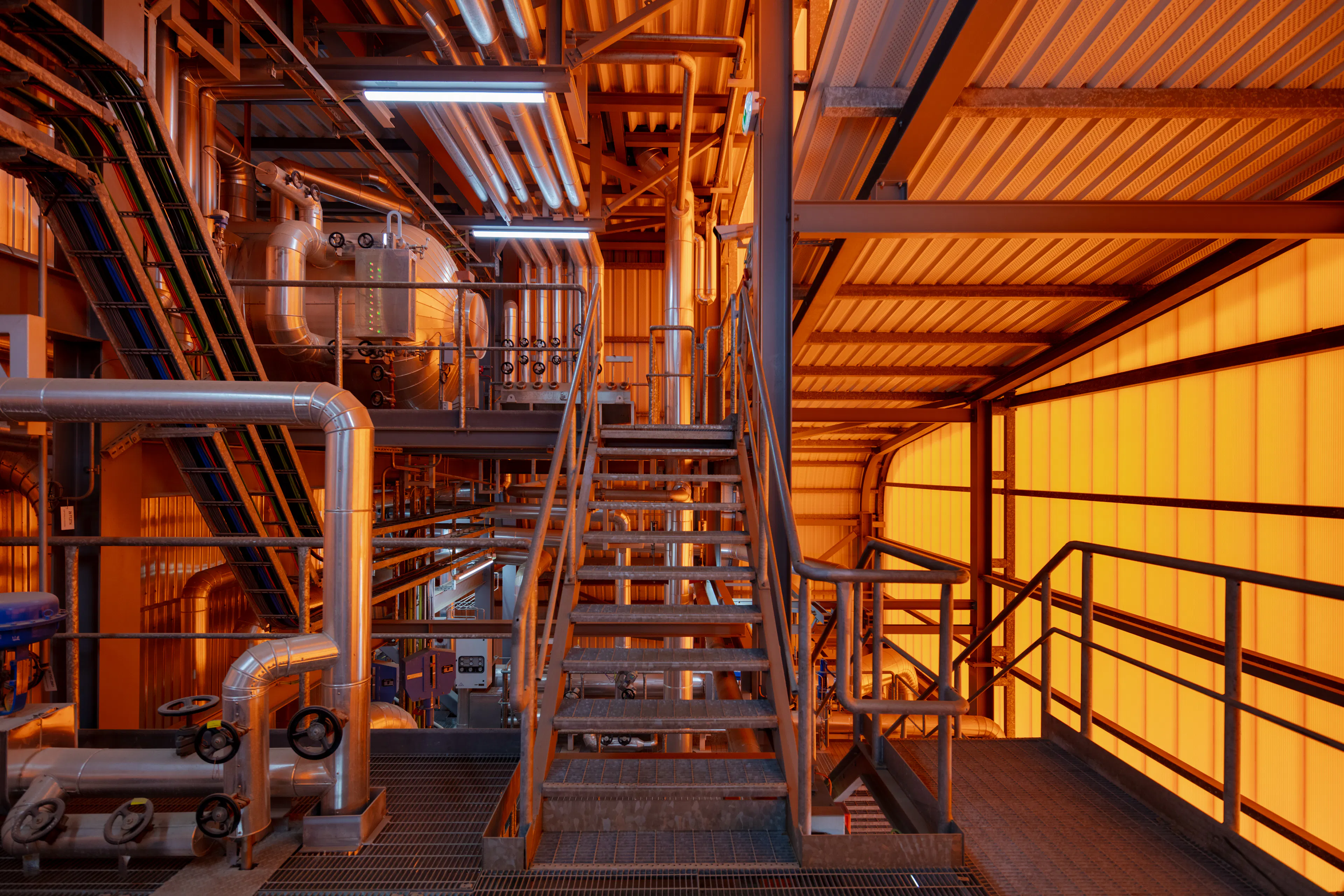 Go-Green Biomass Power Plant — 10