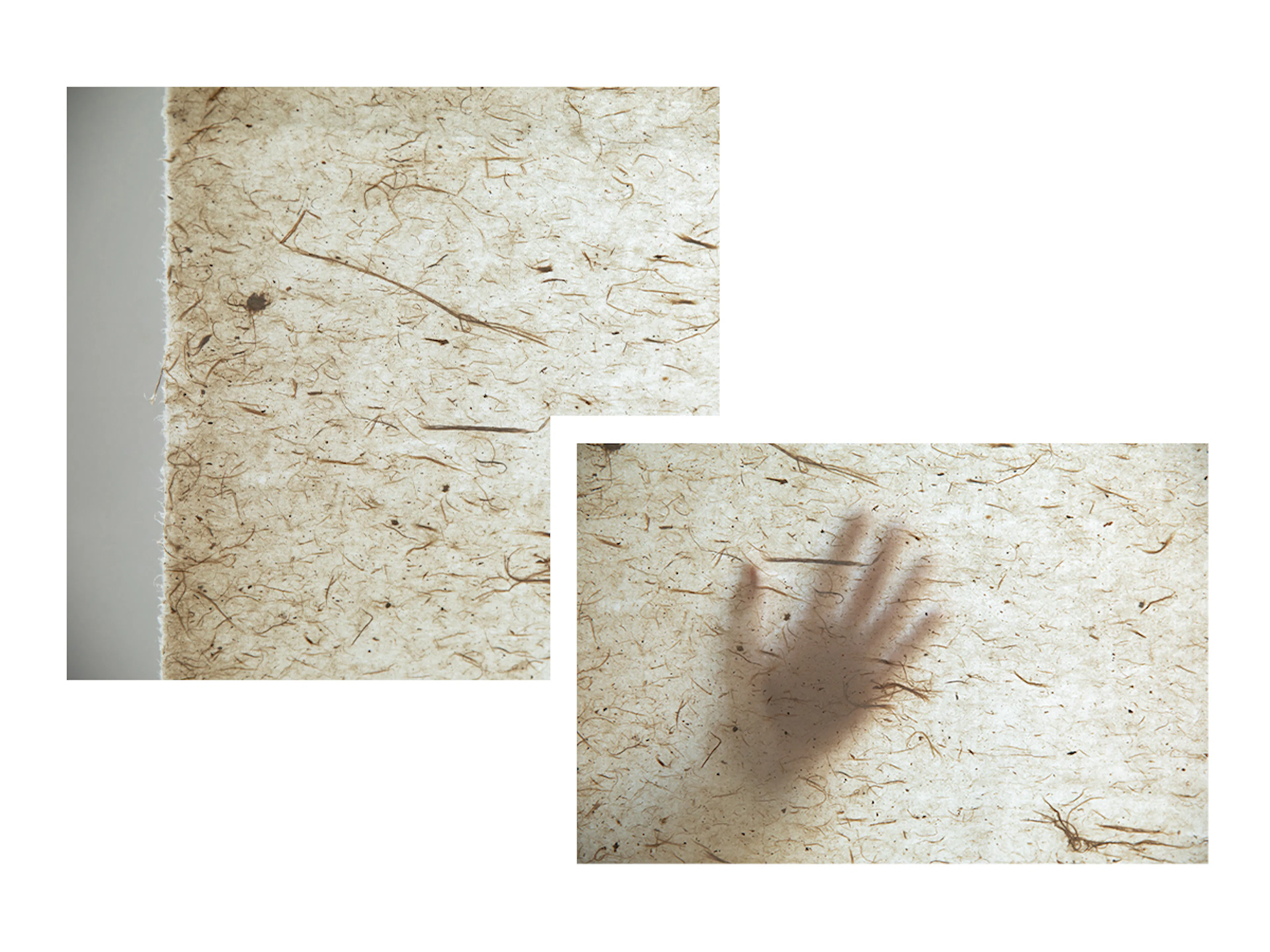 Garden for the eyes — 11