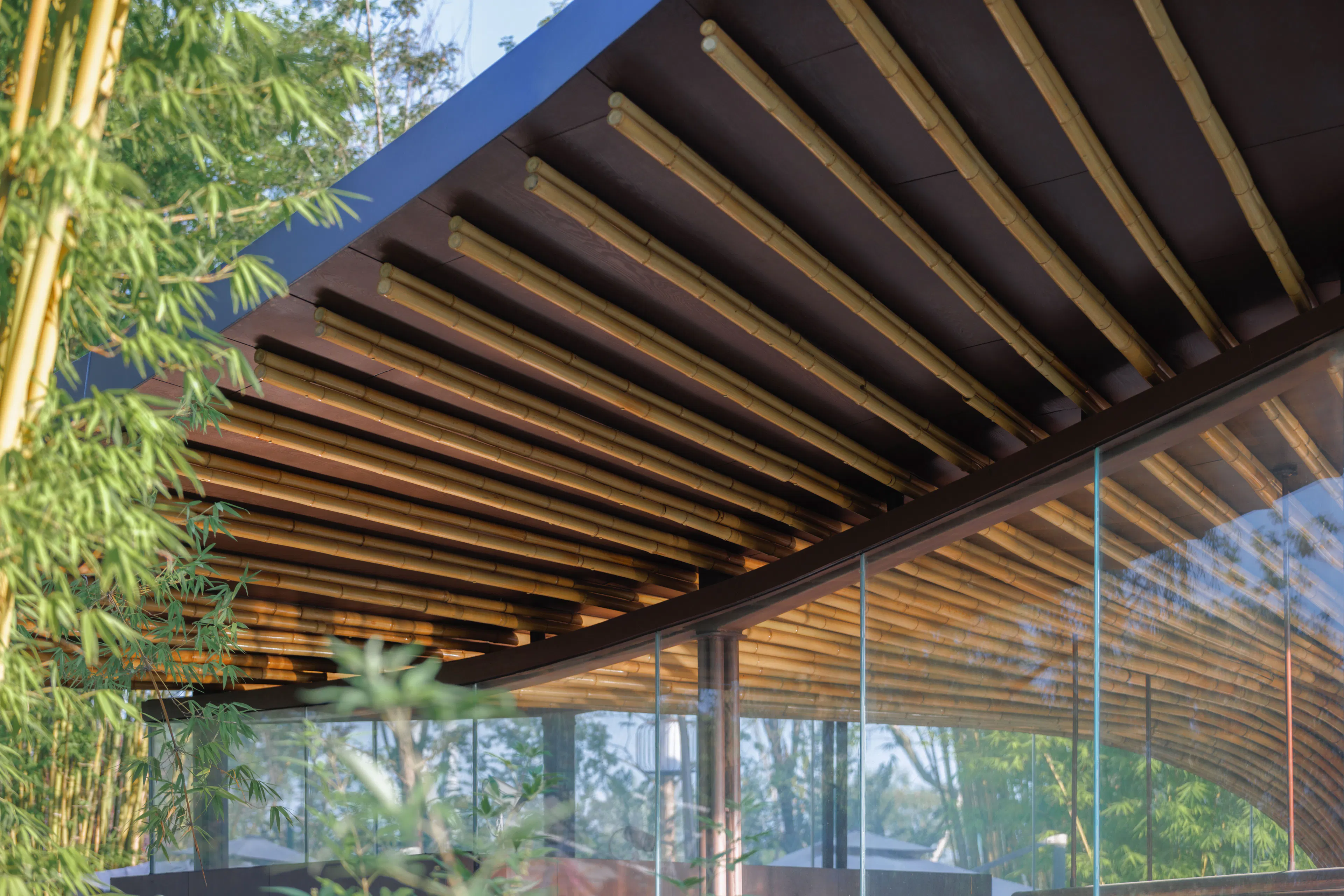 The 2024 Chengdu International Horticultural Expo - Xingcheng Exhibition Garden — 19