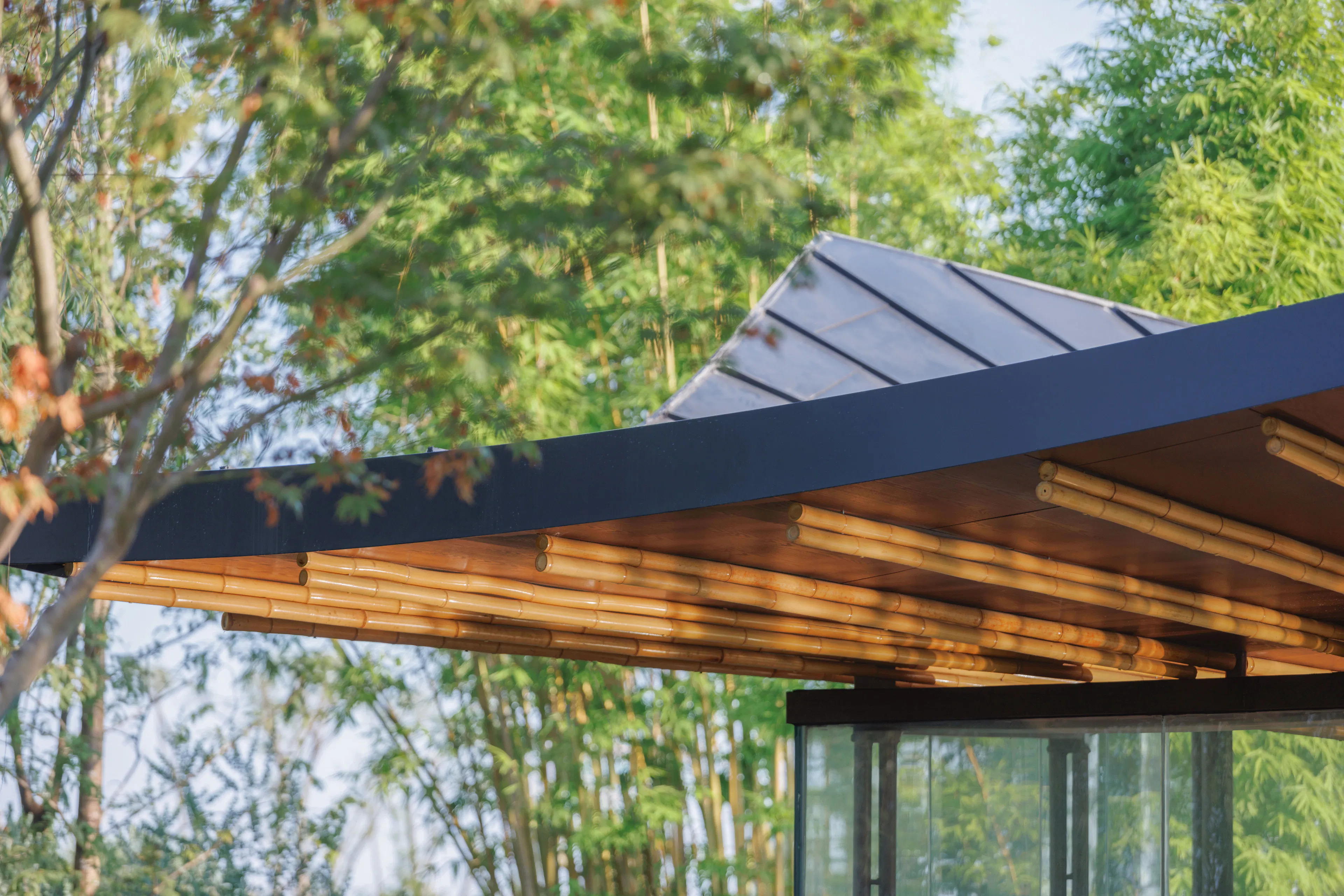 The 2024 Chengdu International Horticultural Expo - Xingcheng Exhibition Garden — 20