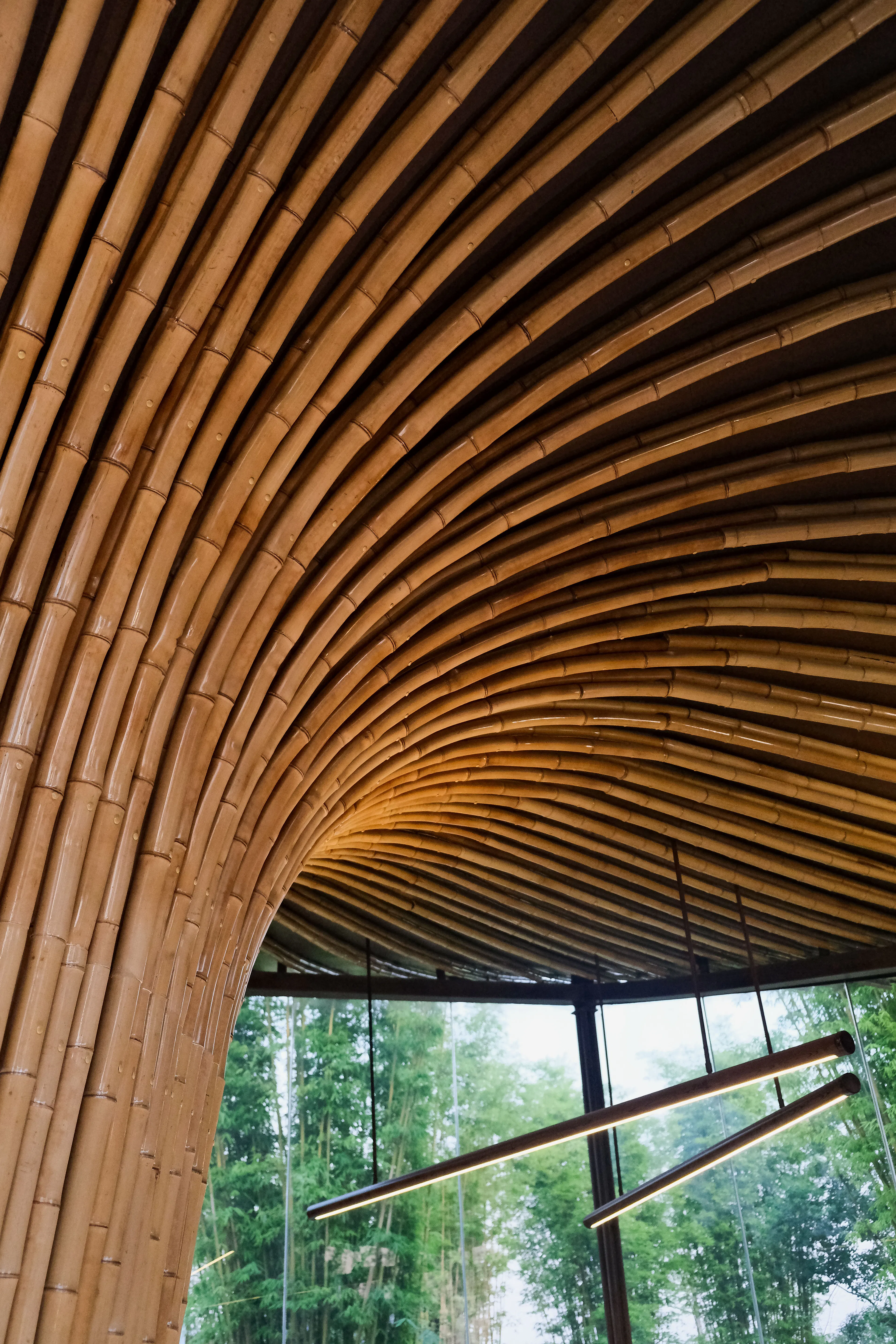 The 2024 Chengdu International Horticultural Expo - Xingcheng Exhibition Garden — 21