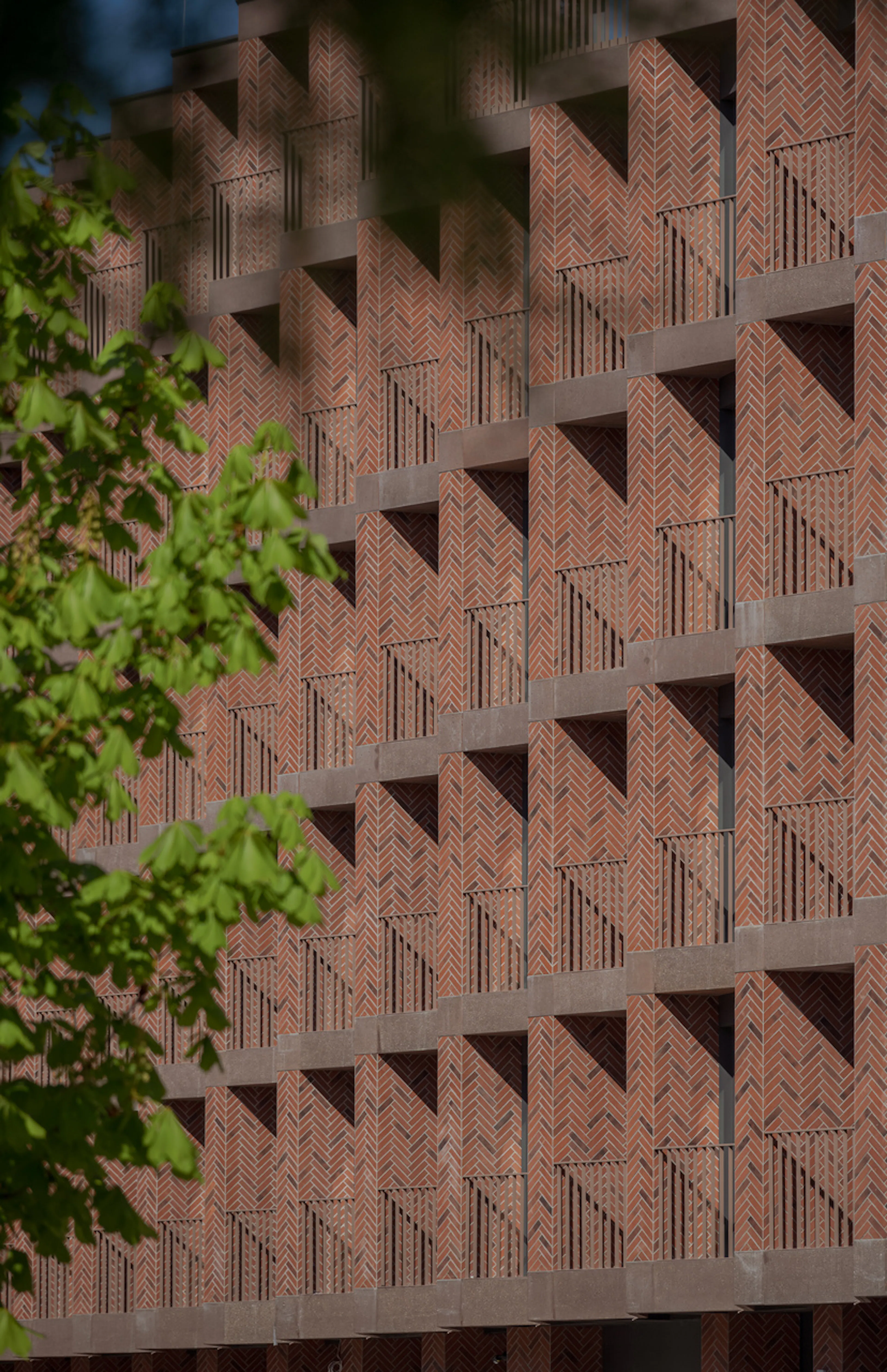 Bernardyńska 4 investment — 6