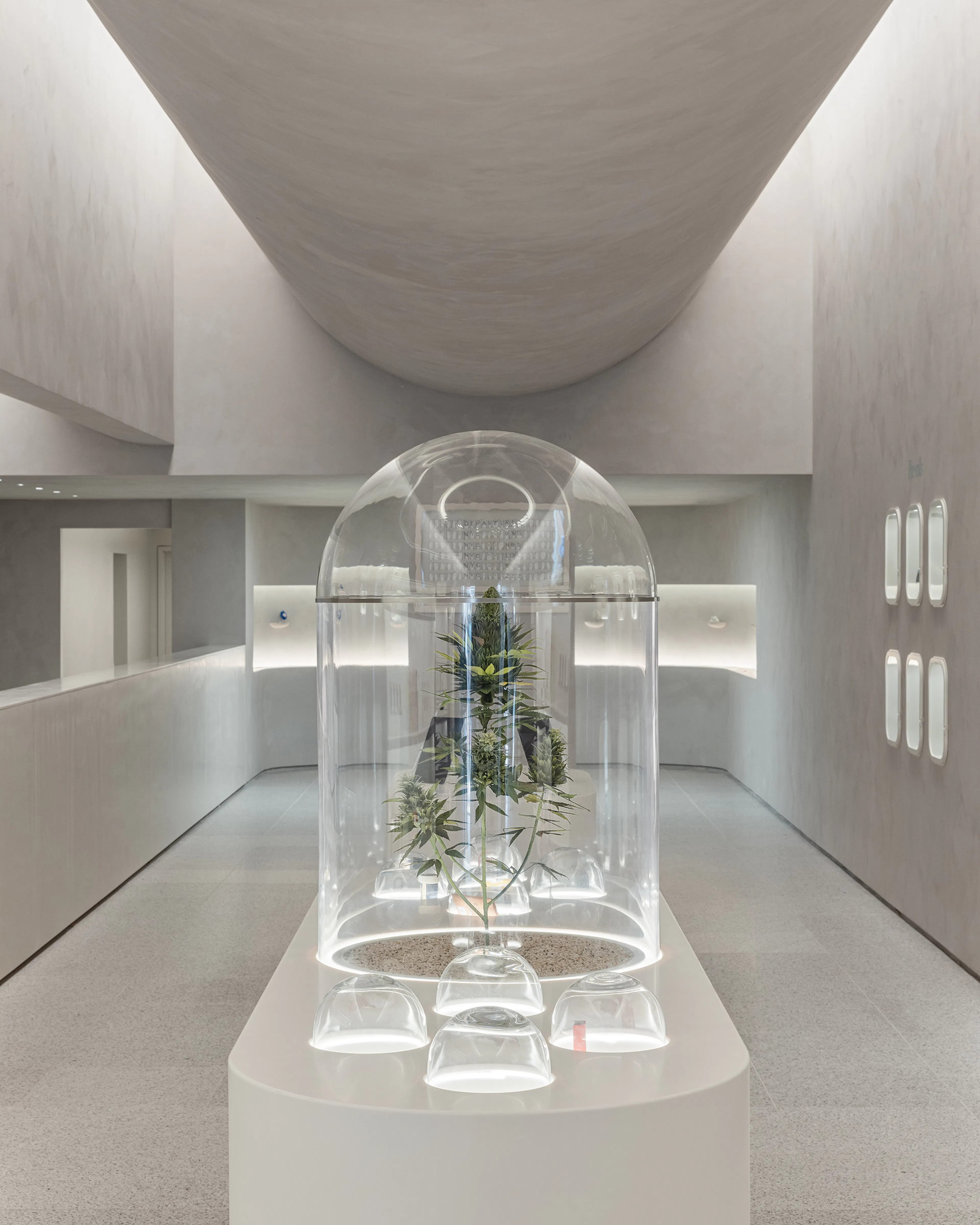 The Travel Agency 5th Avenue