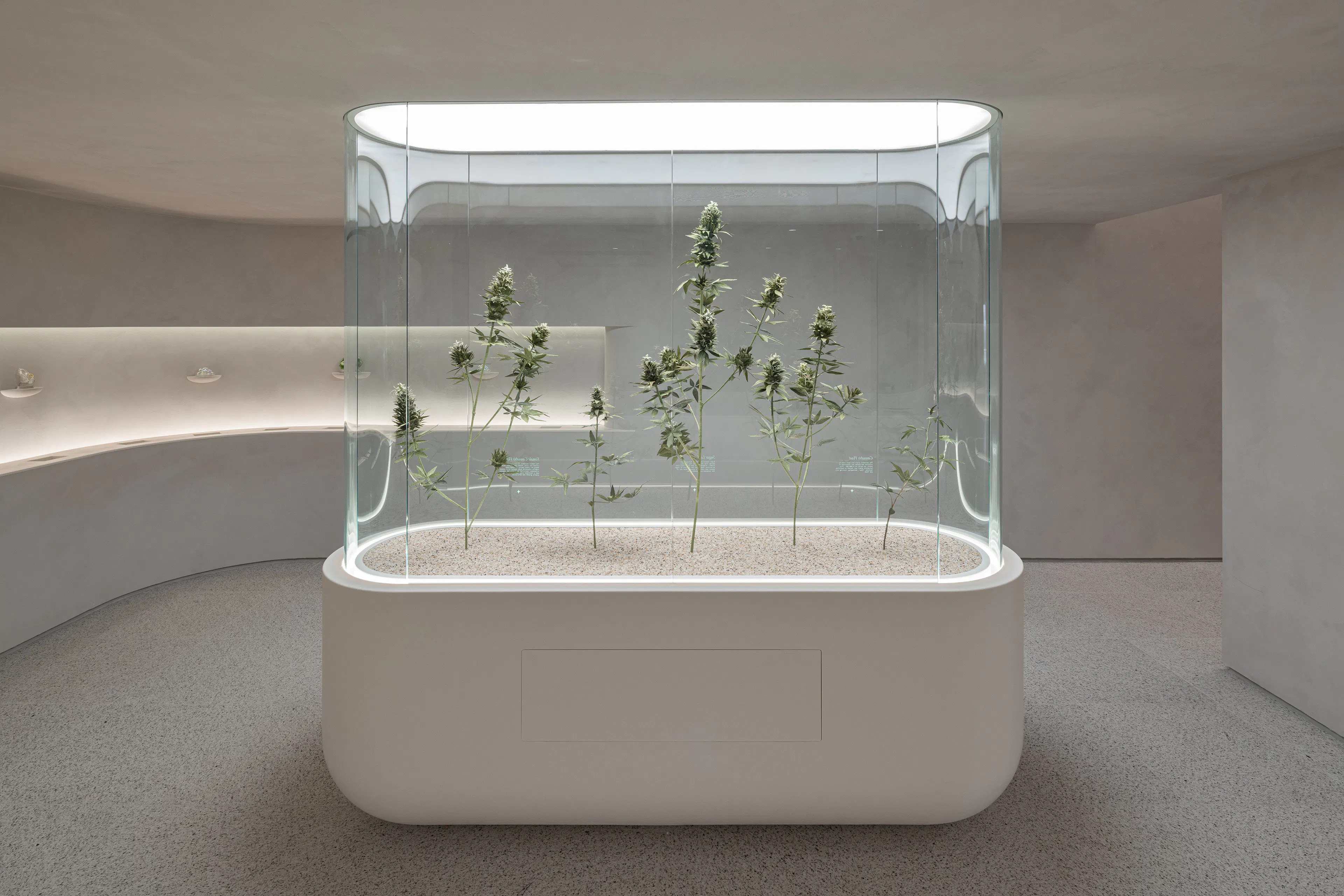 The Travel Agency 5th Avenue — 7