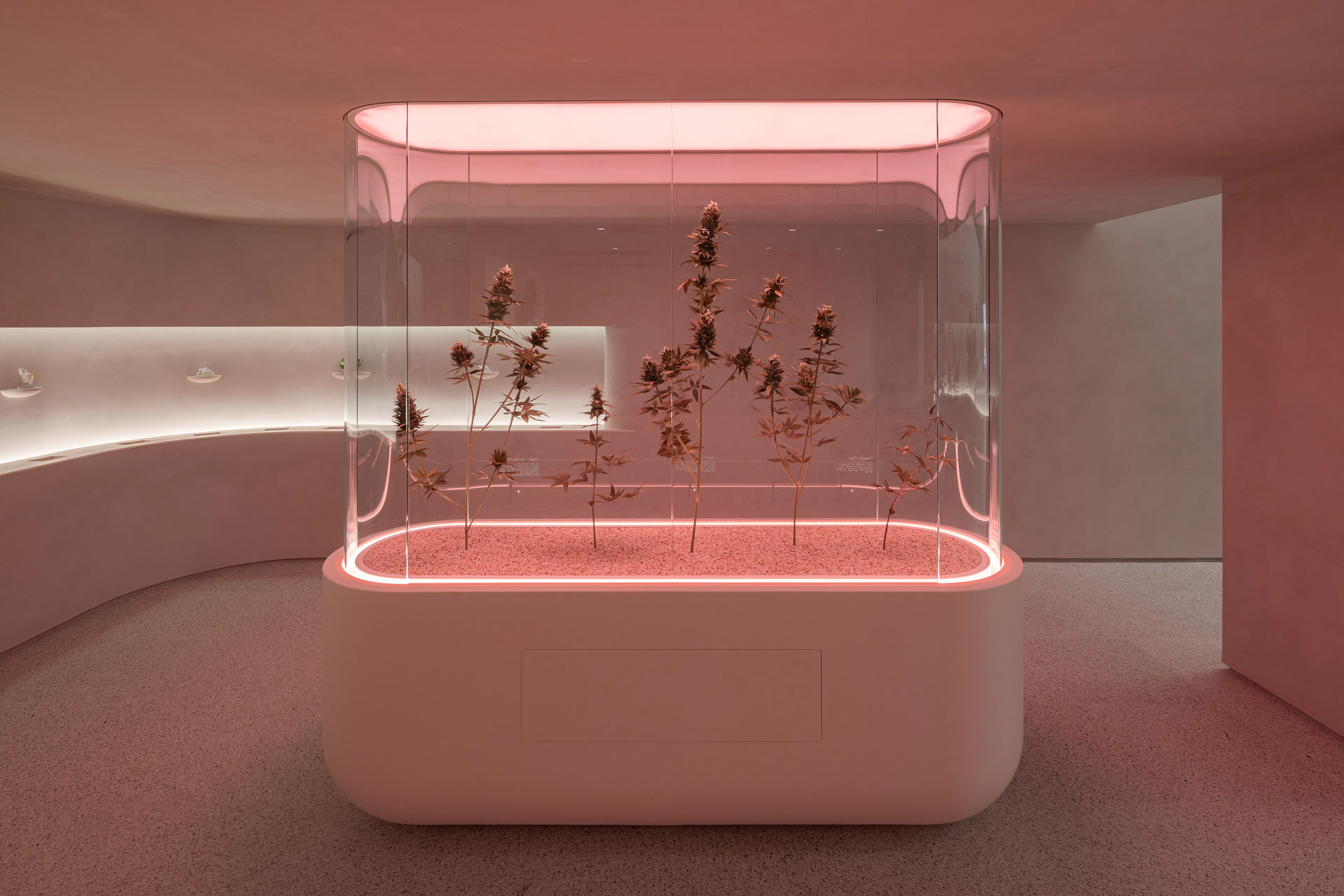 The Travel Agency 5th Avenue — 8