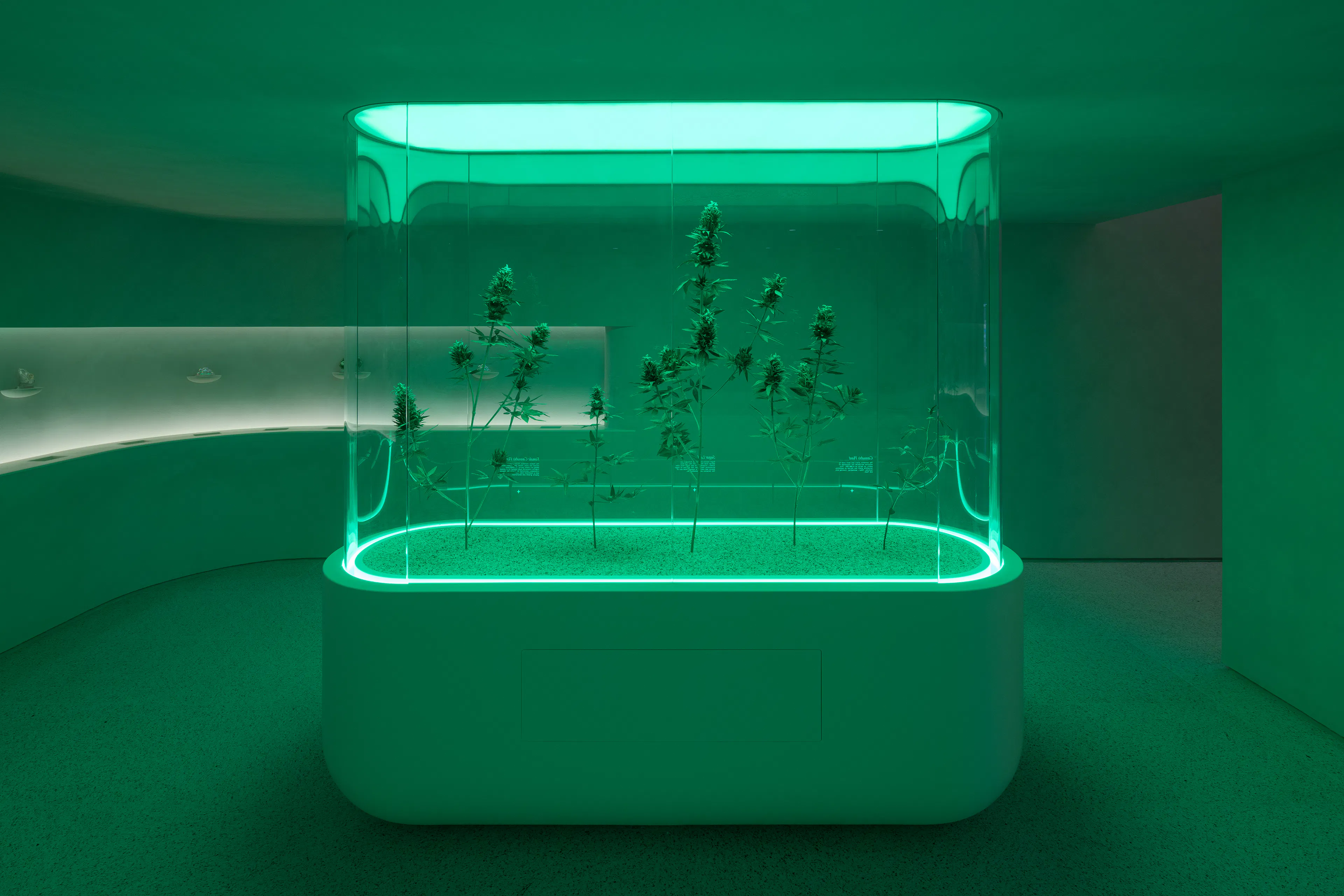 The Travel Agency 5th Avenue — 9