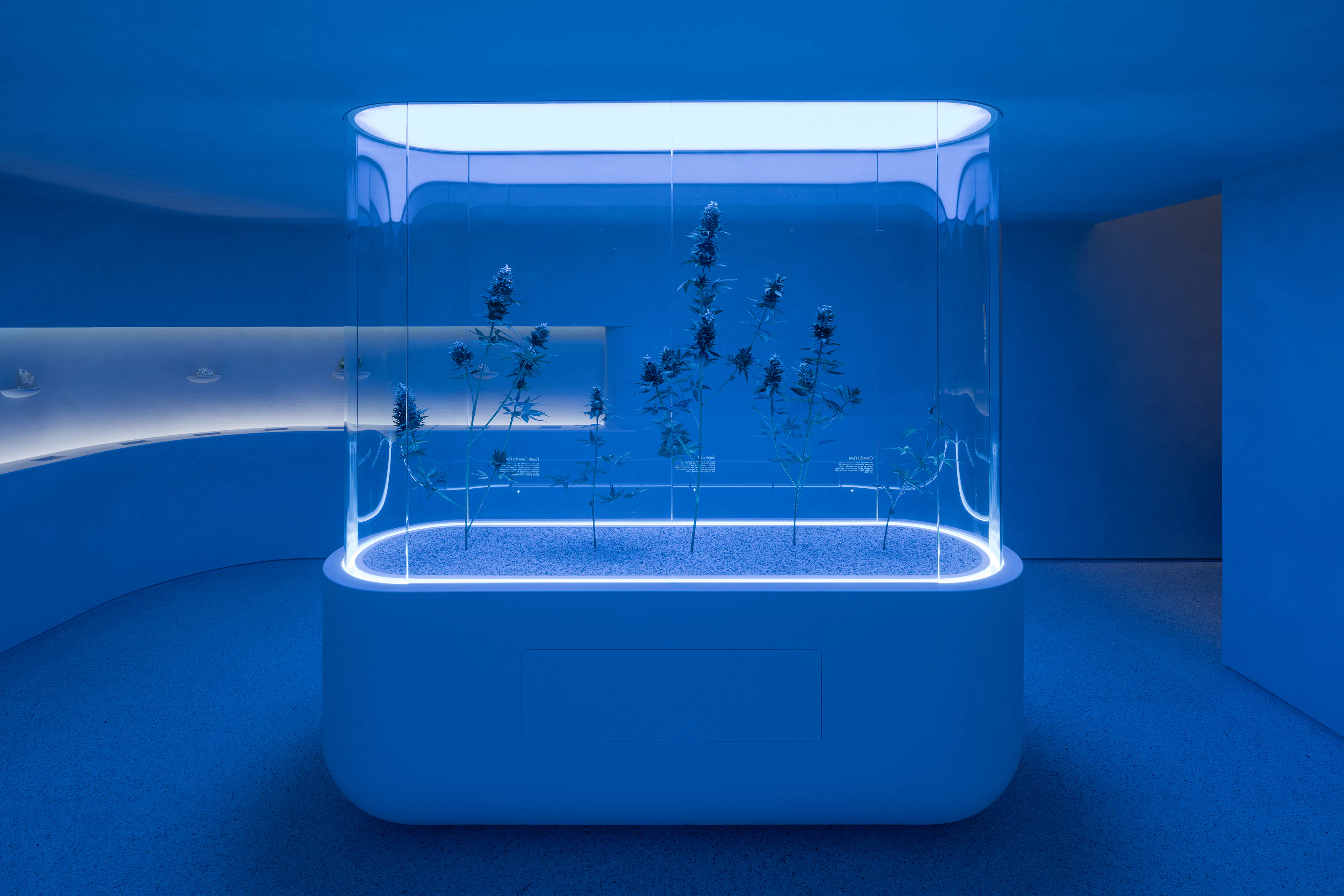 The Travel Agency 5th Avenue — 10