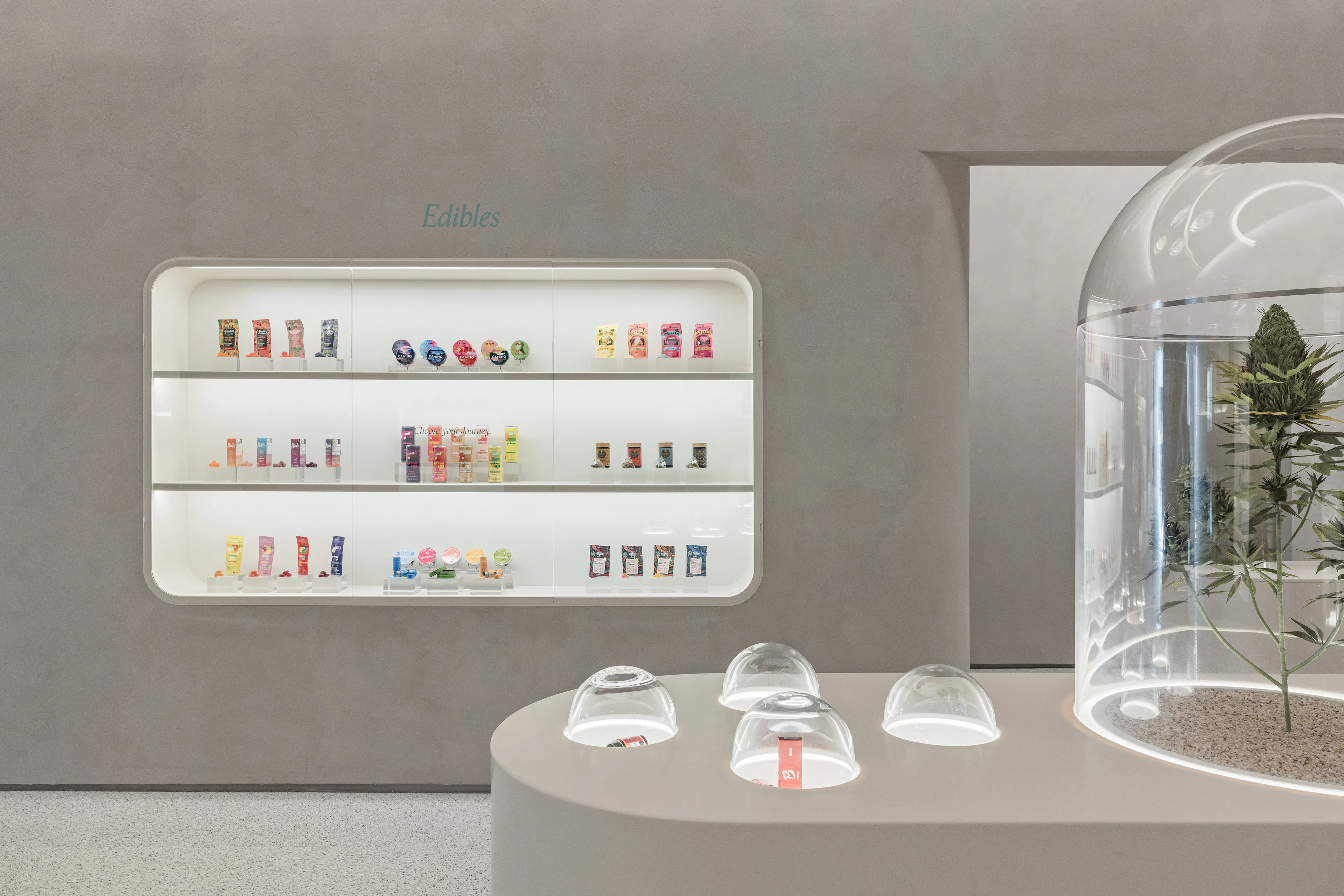 The Travel Agency 5th Avenue — 6