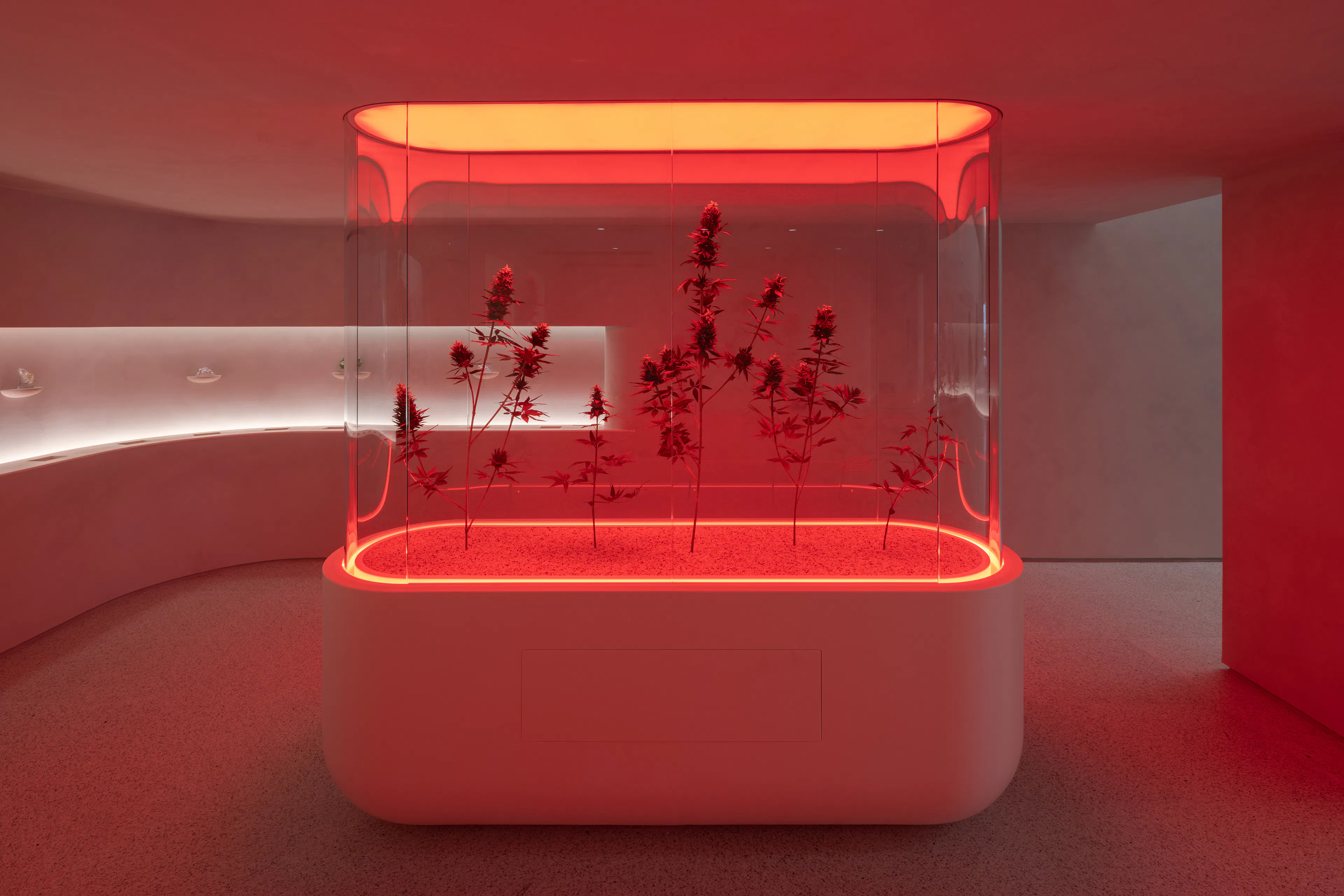 The Travel Agency 5th Avenue — 11