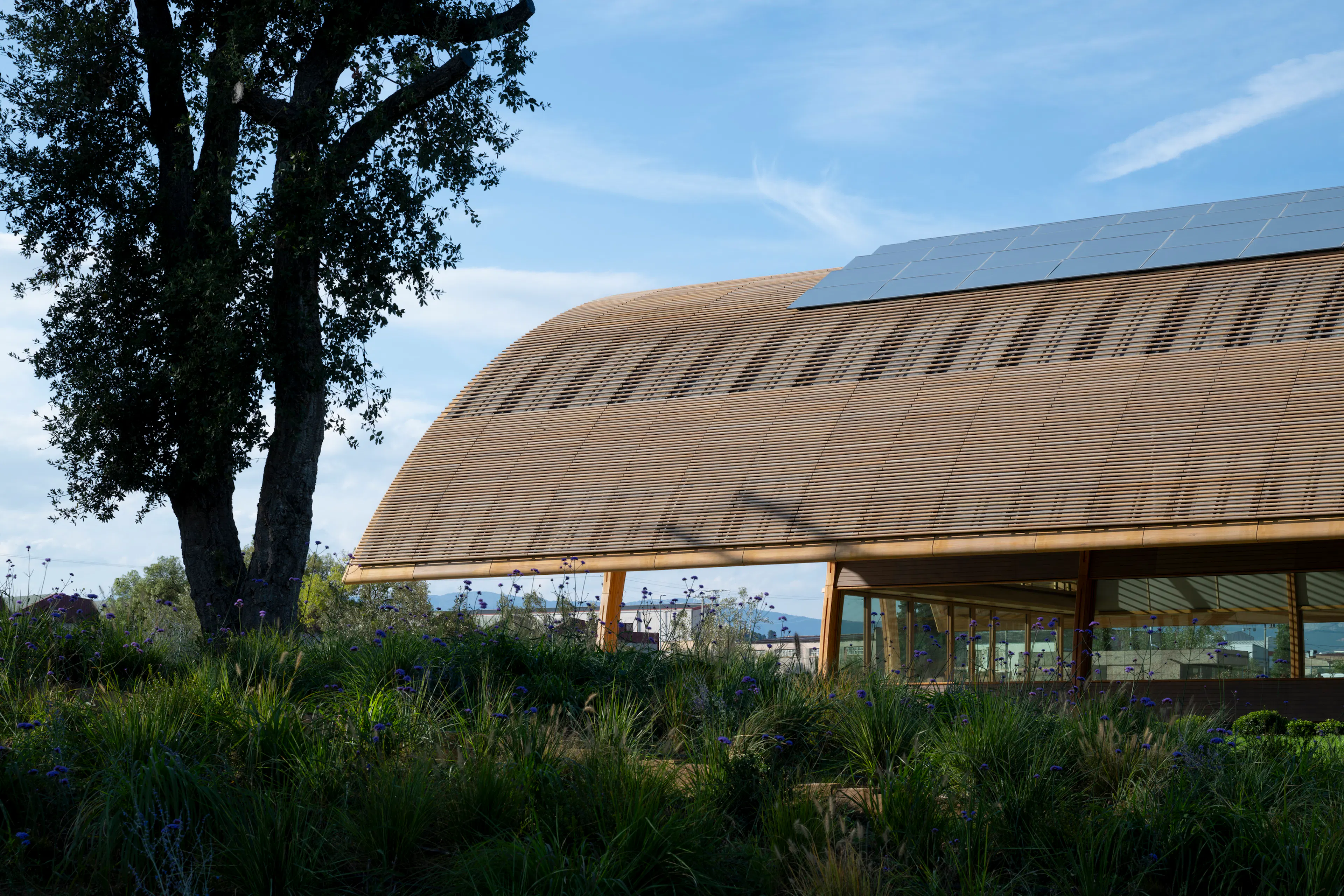 Legacy of Bodegas Faustino Winery — 2