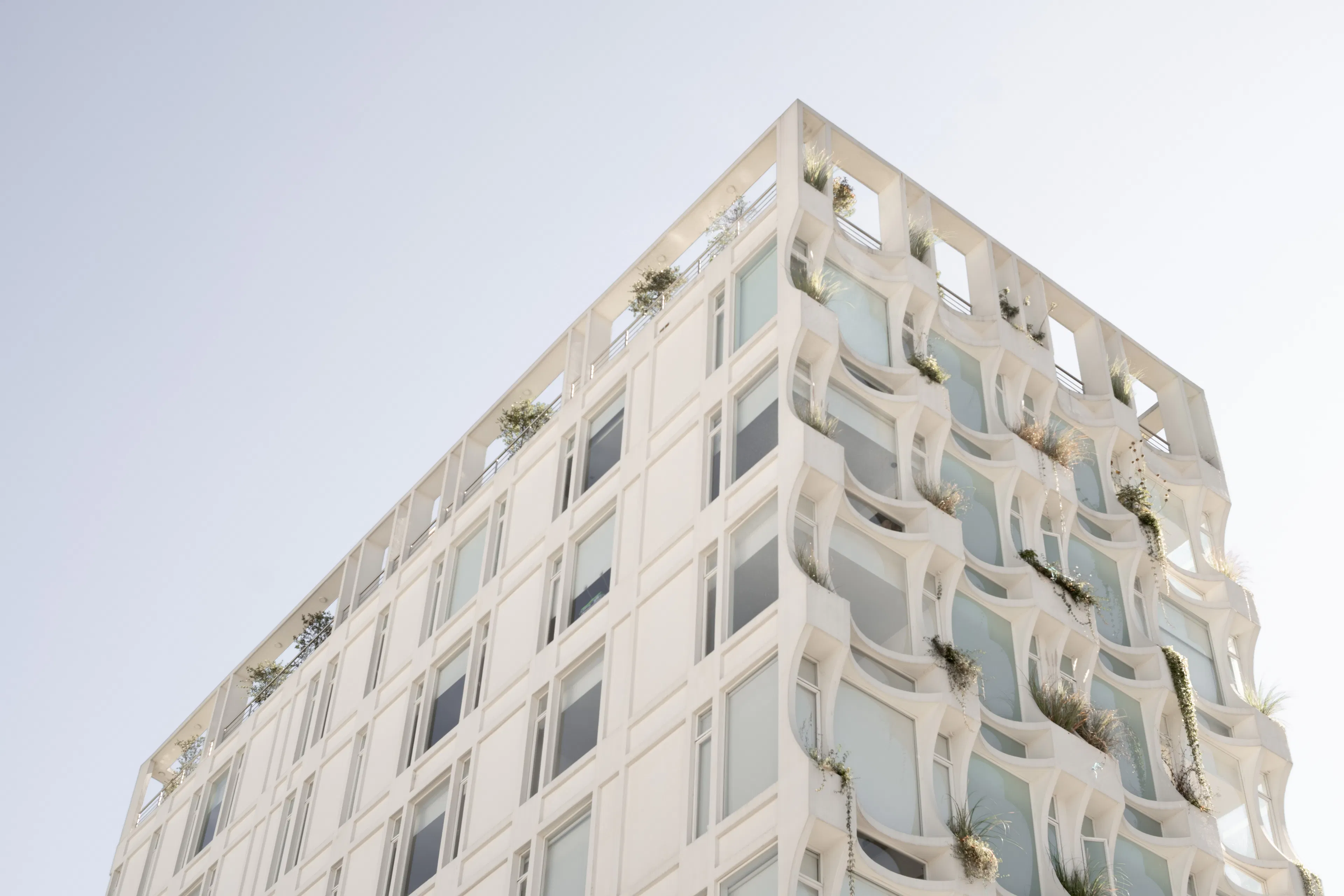 Imperia Horizonte — 11