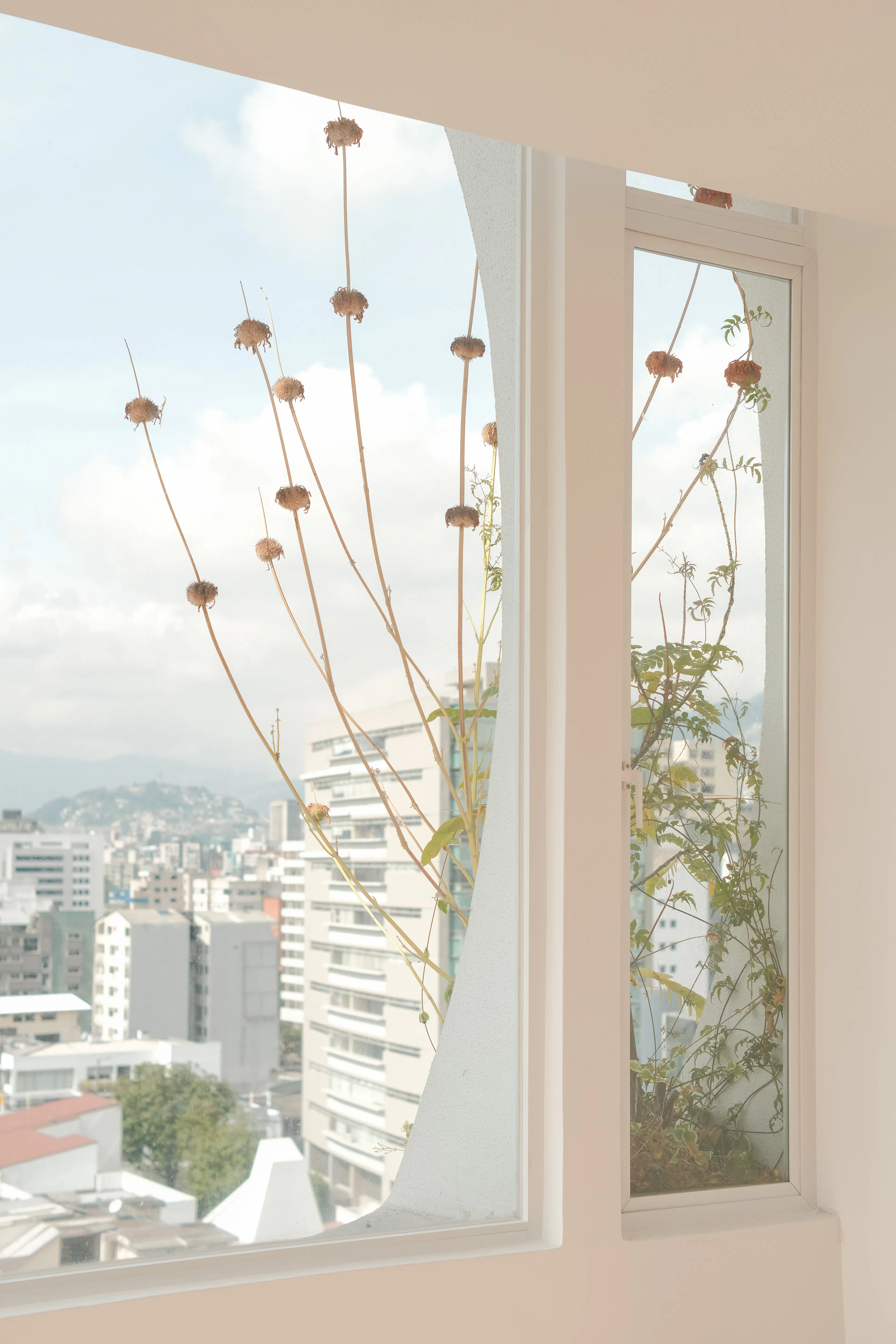 Imperia Horizonte — 15