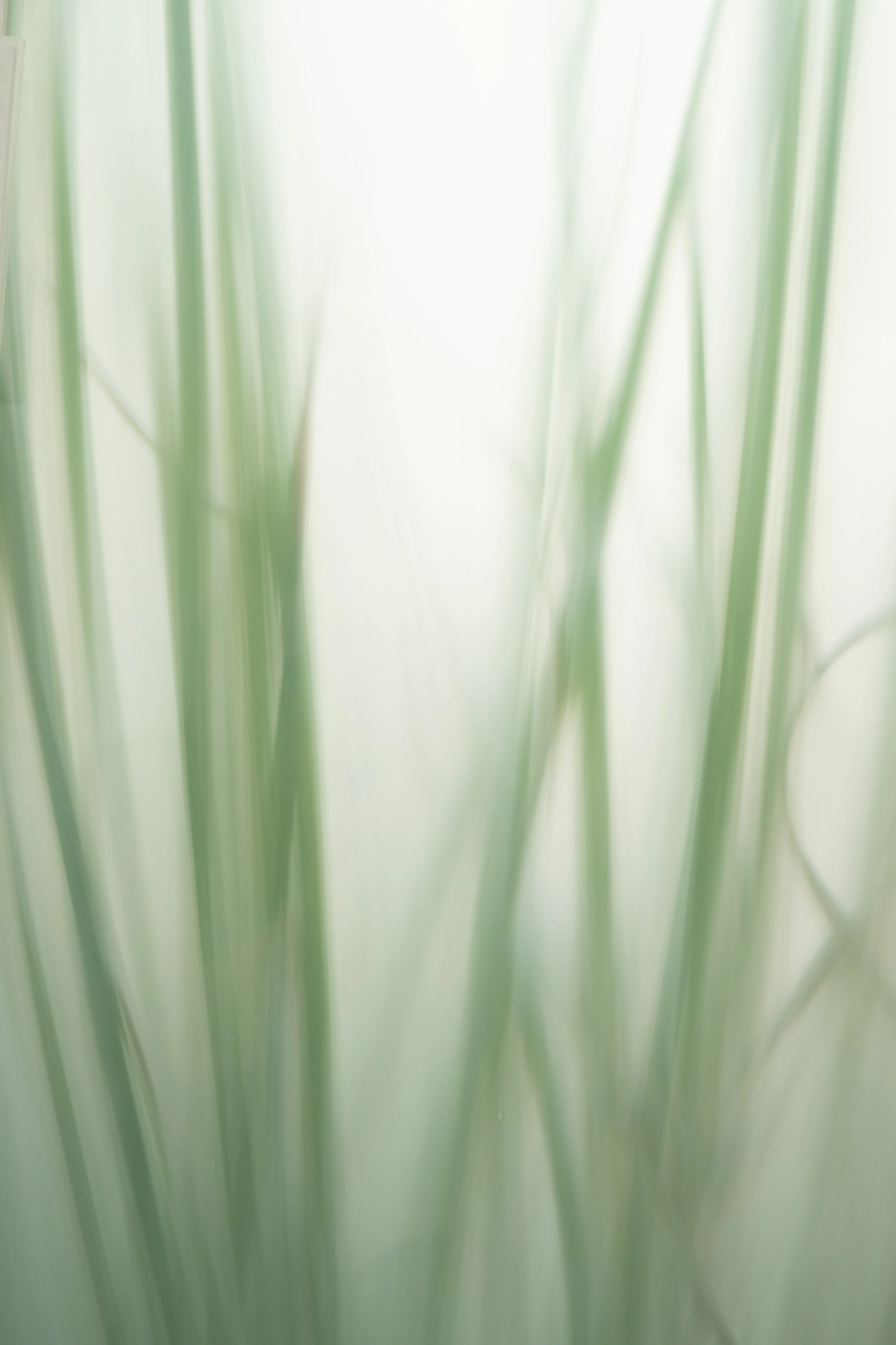 Imperia Horizonte — 16