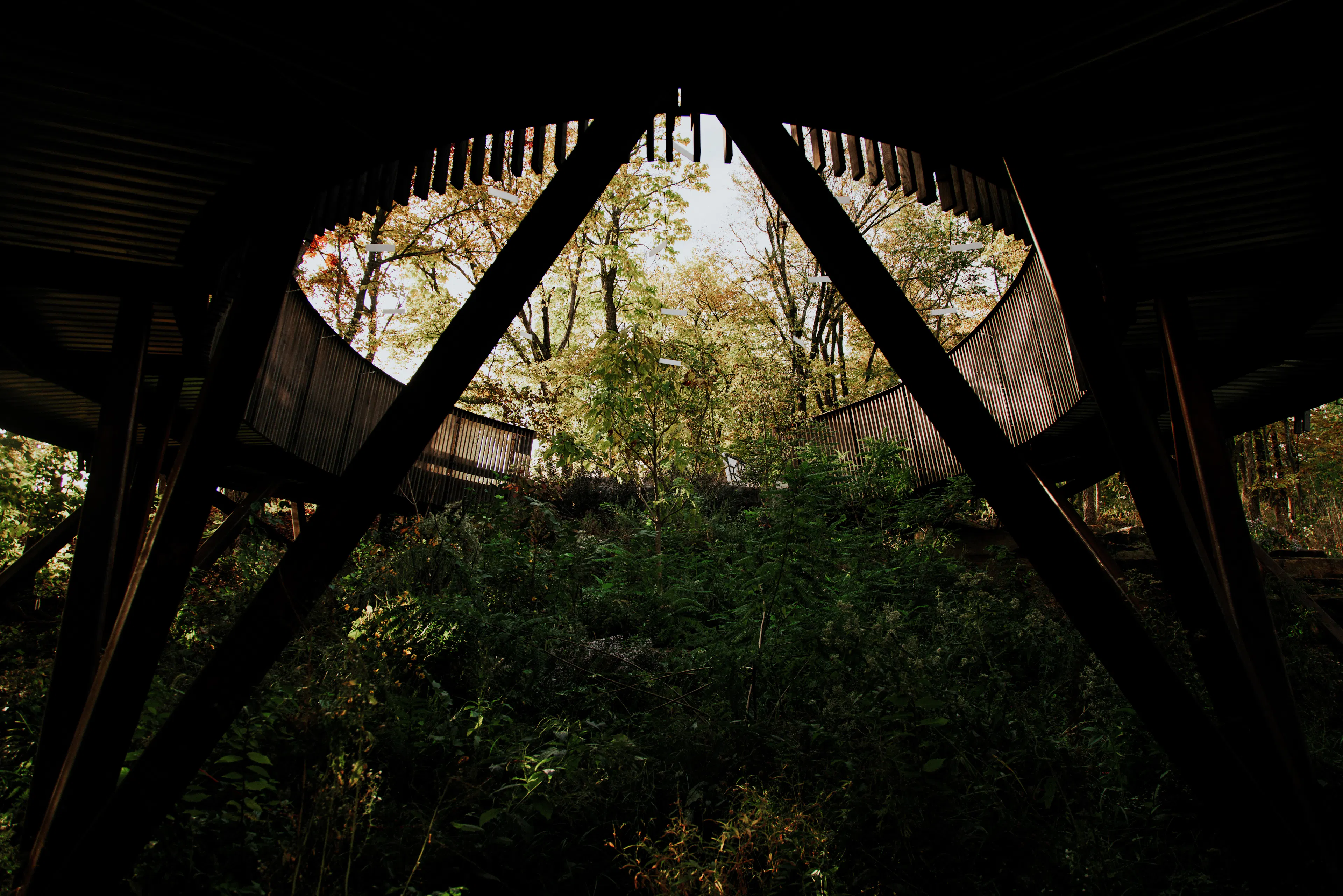 The Lower Ramble — 6